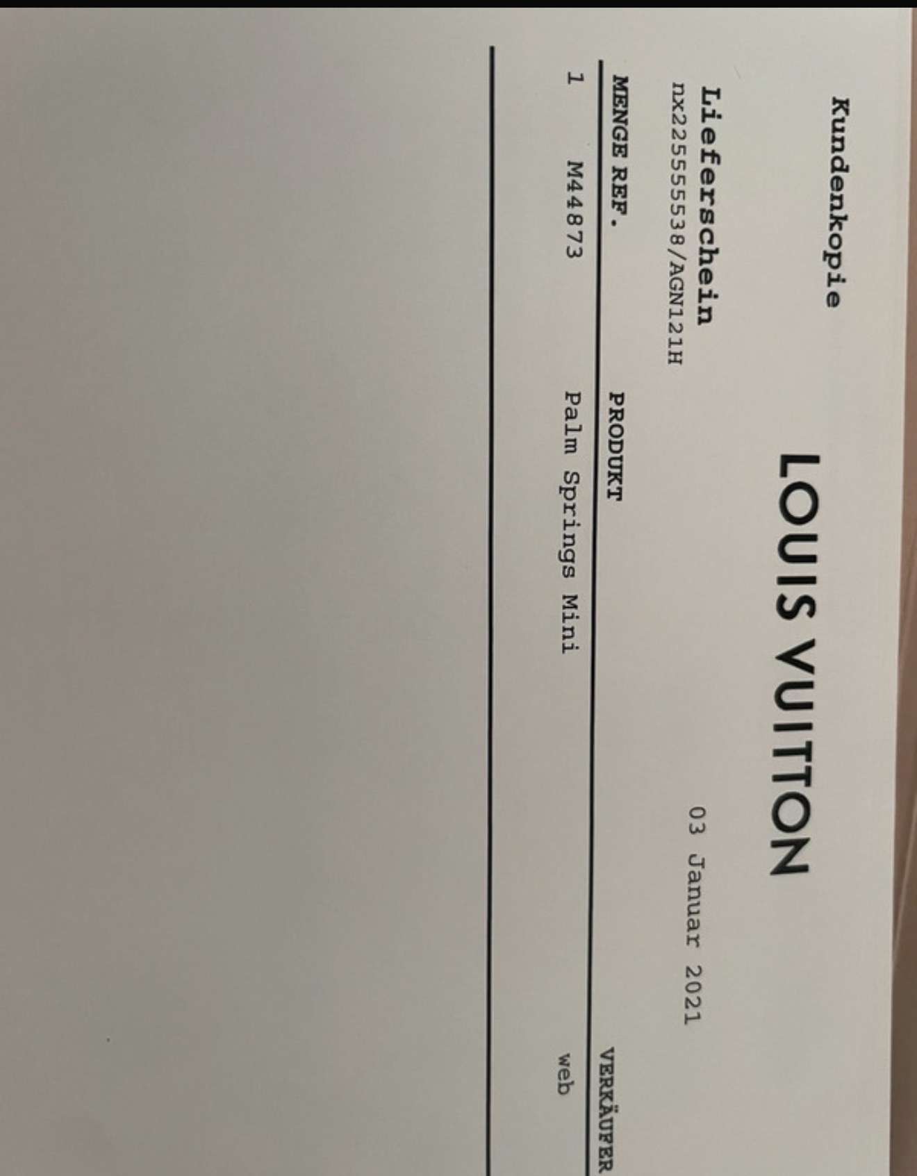 Louis Vuitton Palm spring mini