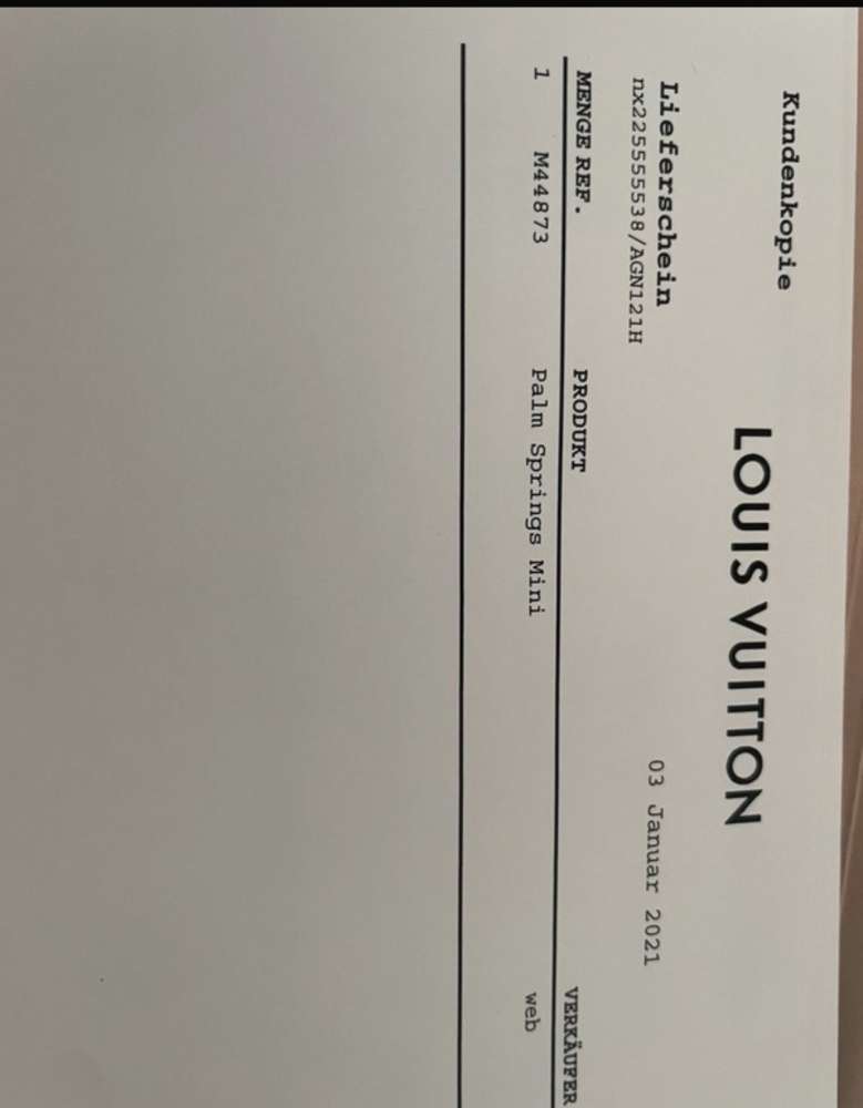 Louis Vuitton Palm spring mini