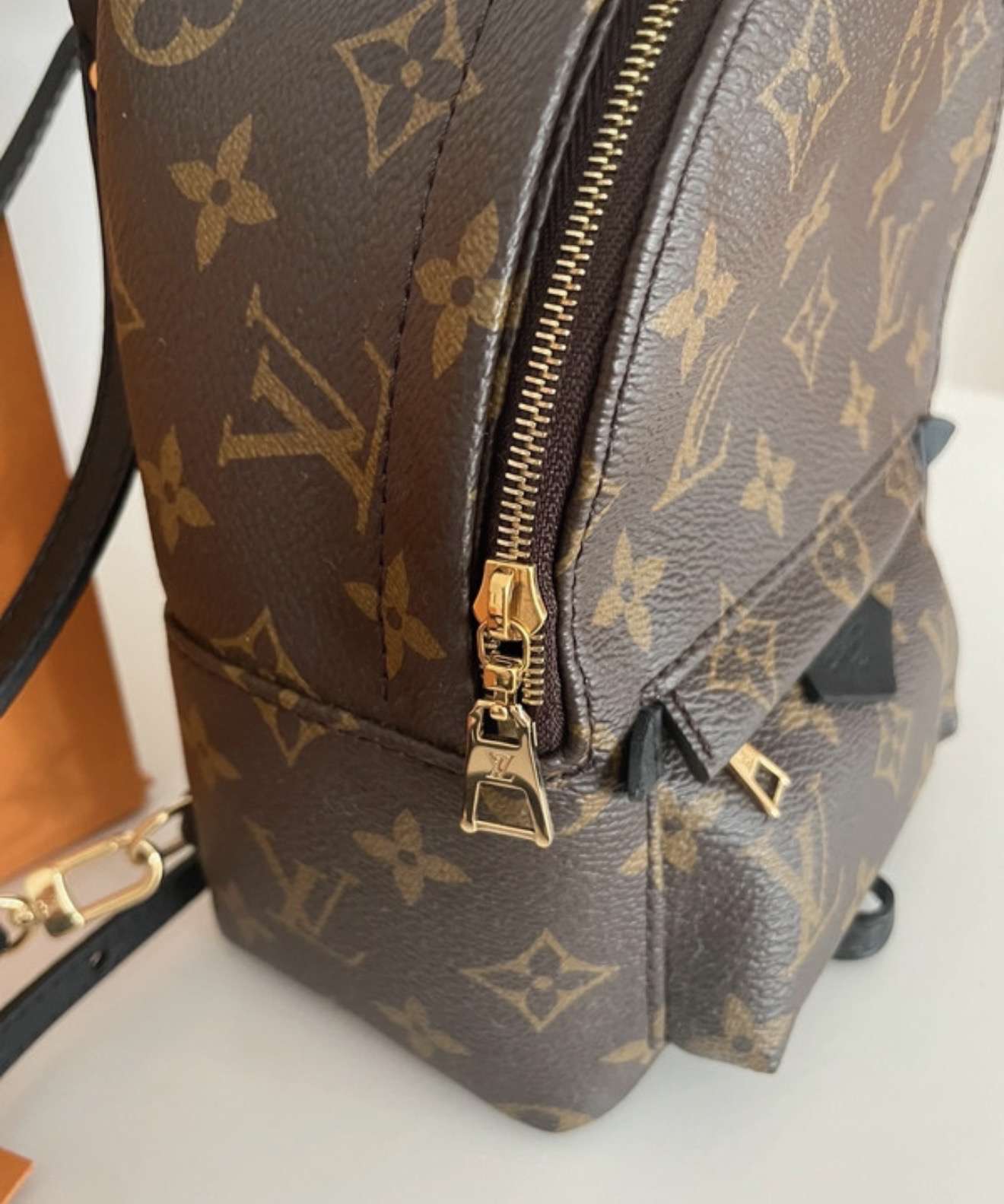 Louis Vuitton Palm spring mini