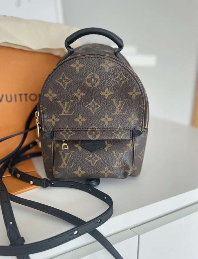 Louis Vuitton Palm spring mini