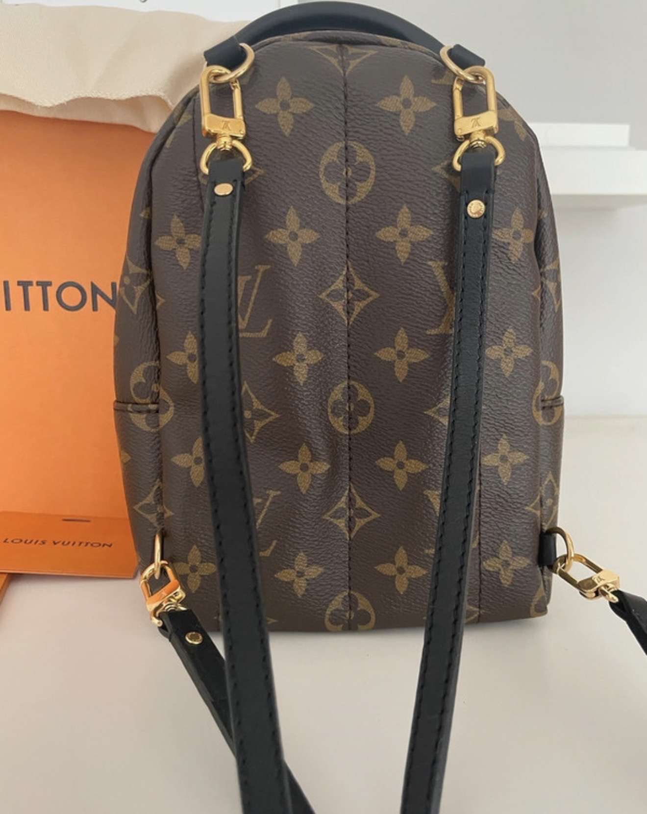 Louis Vuitton Palm spring mini