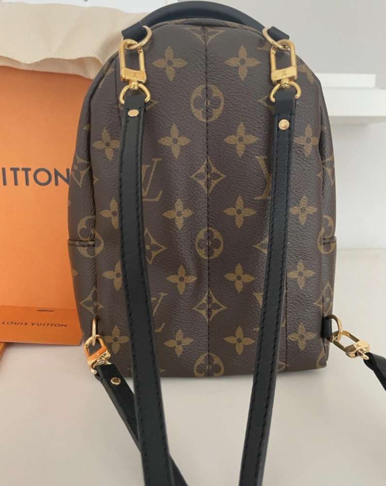 Louis Vuitton Palm spring mini