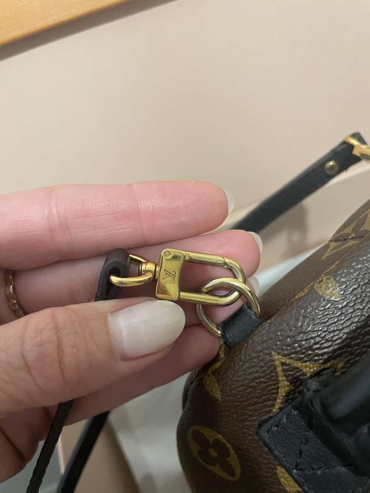 Louis Vuitton palm springs mini
