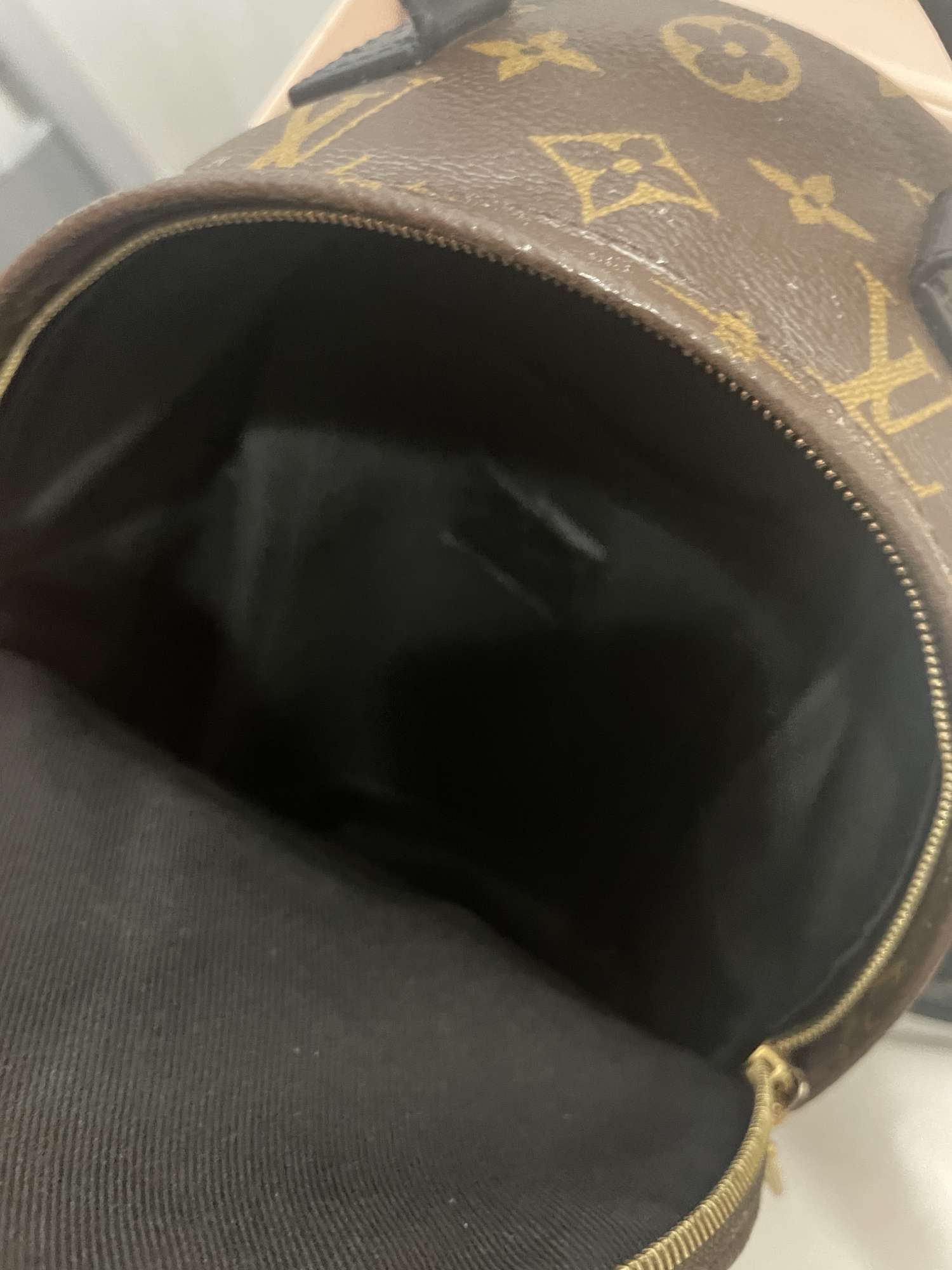 Louis Vuitton palm springs mini