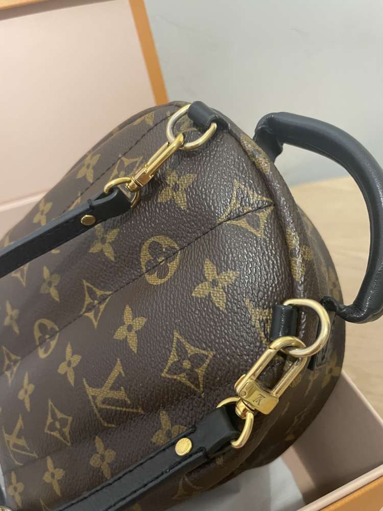 Louis Vuitton palm springs mini