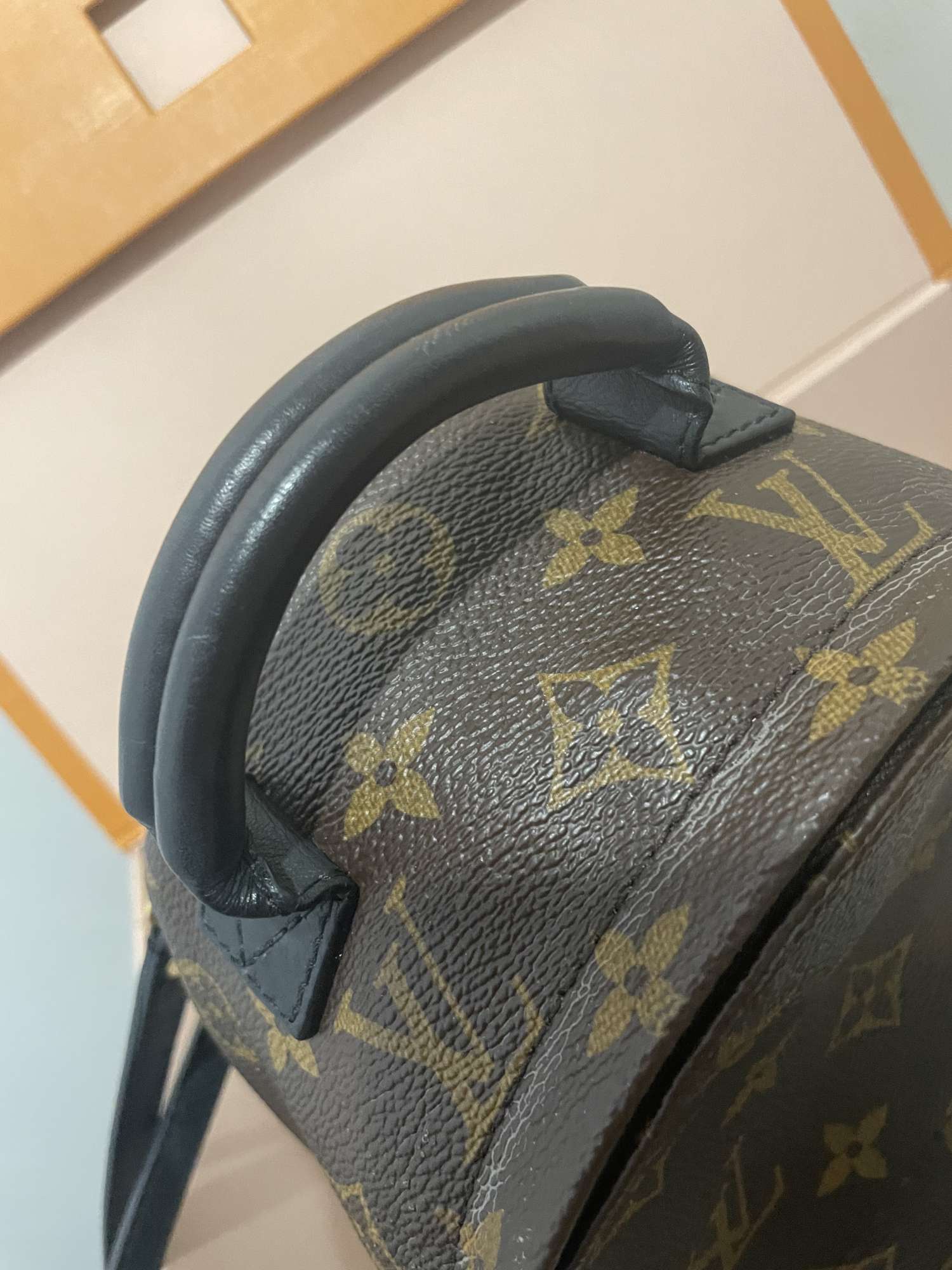 Louis Vuitton palm springs mini
