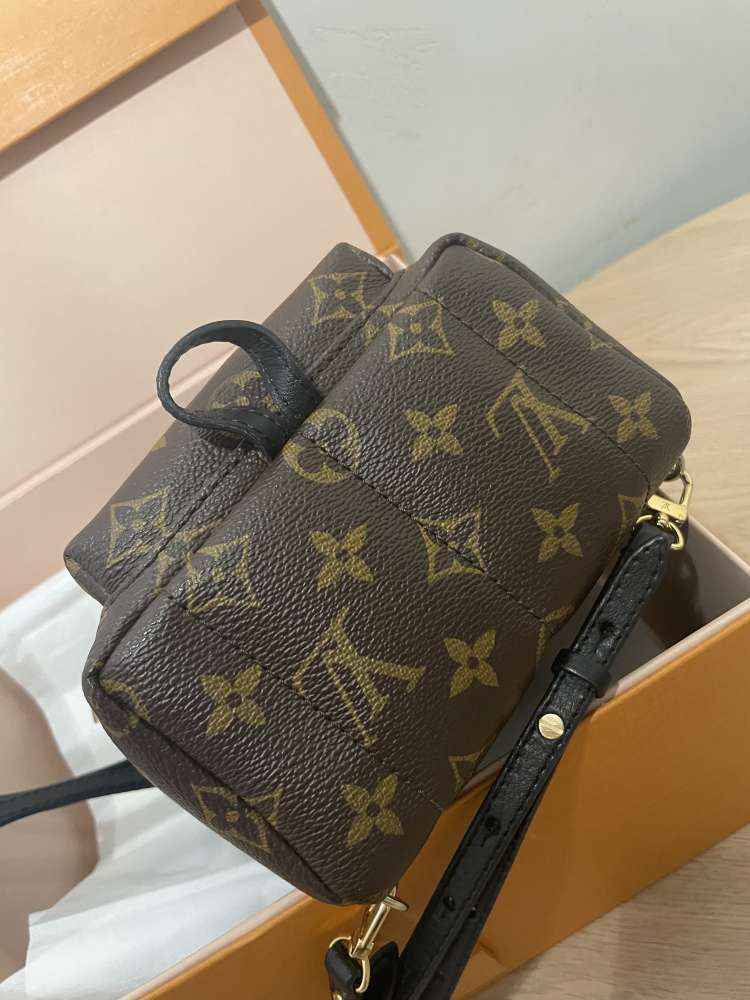 Louis Vuitton palm springs mini