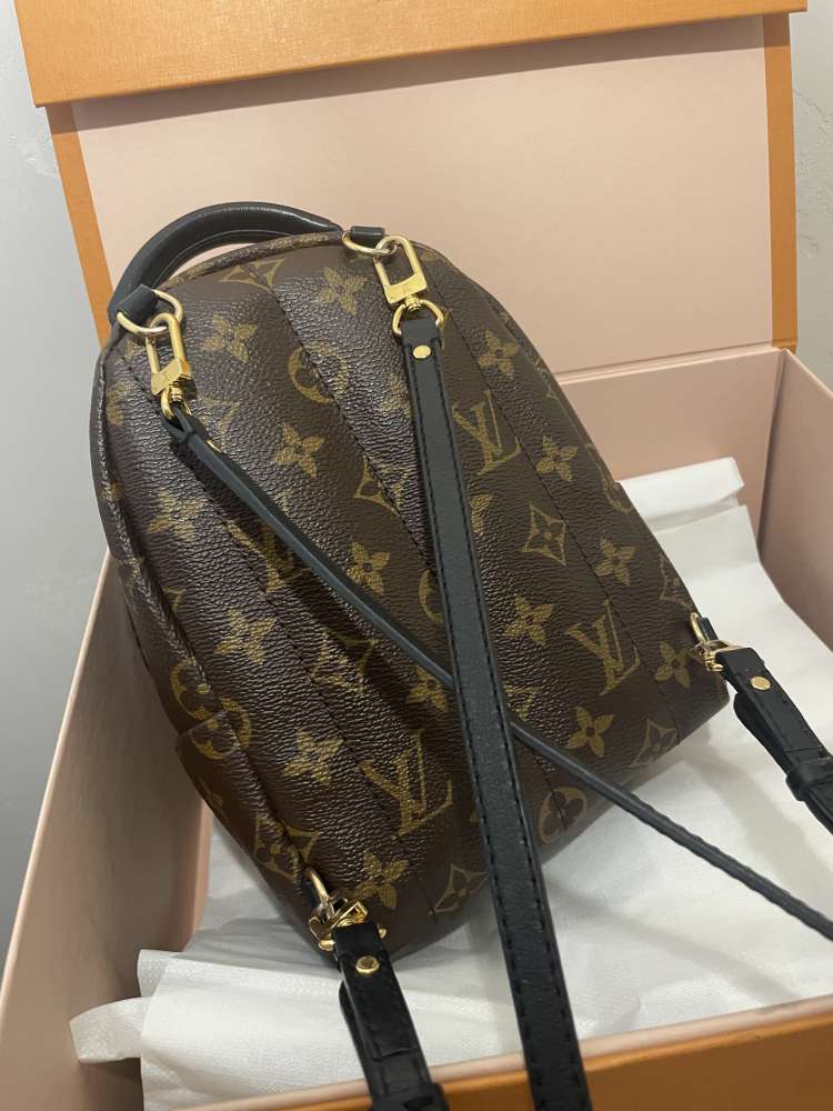 Louis Vuitton palm springs mini