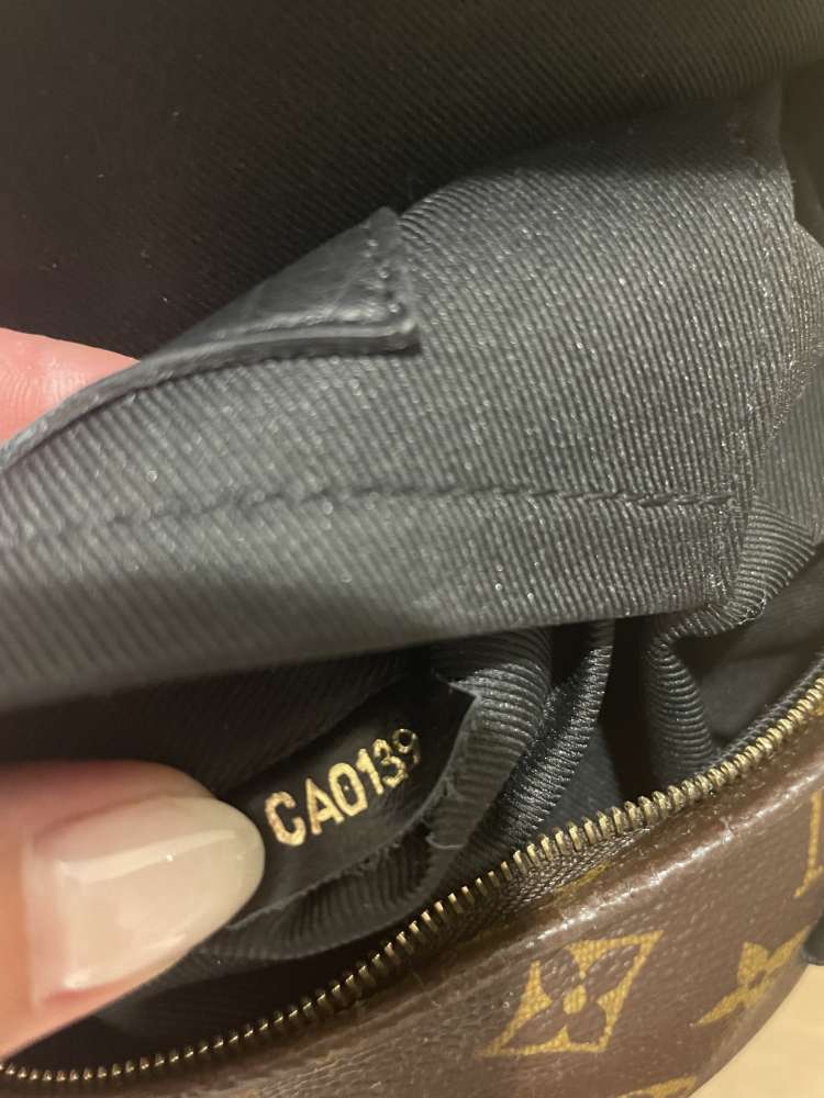 Louis Vuitton palm springs mini