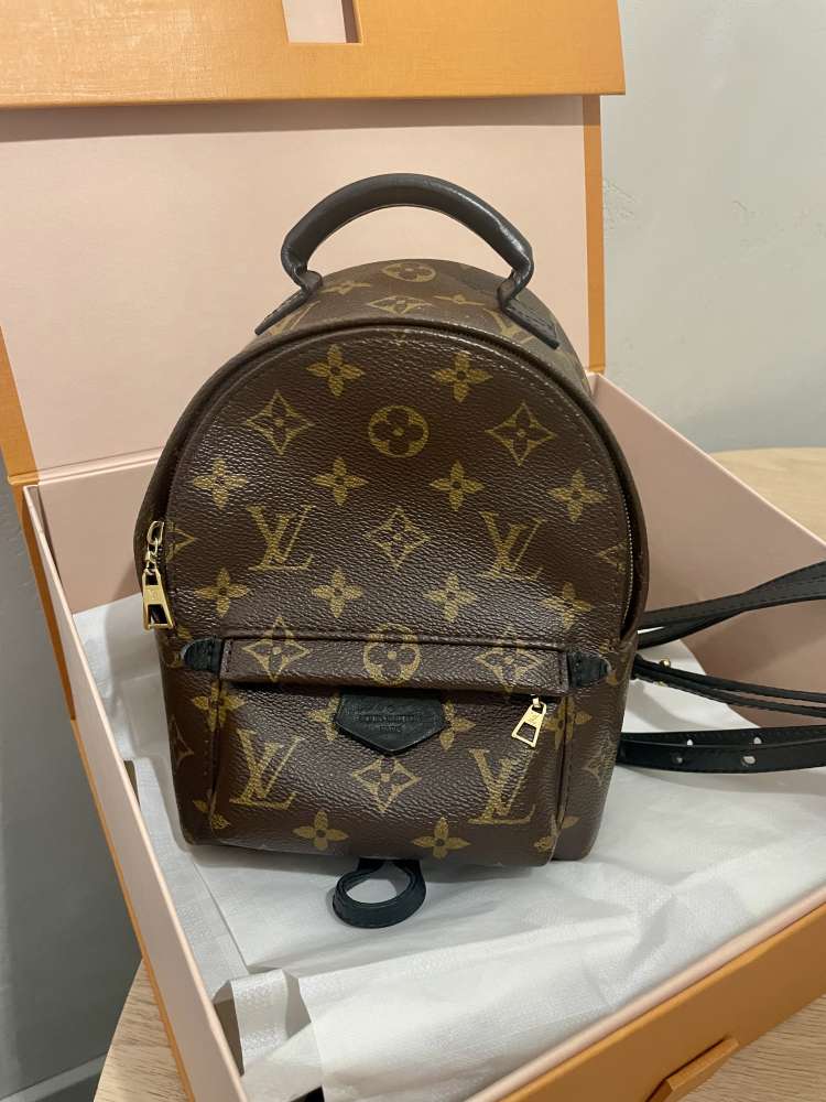 Louis Vuitton palm springs mini