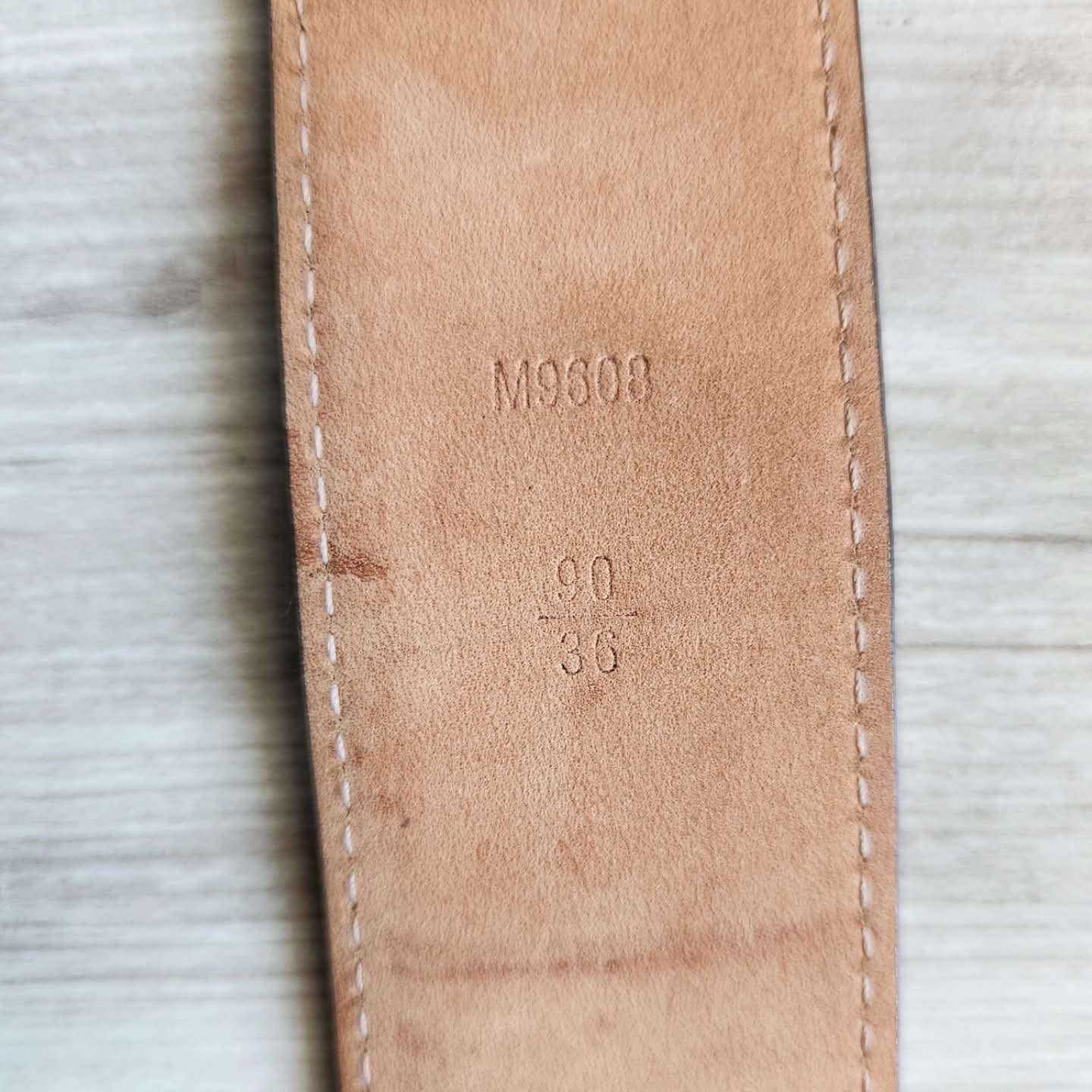 Louis Vuitton Pasek Iconic