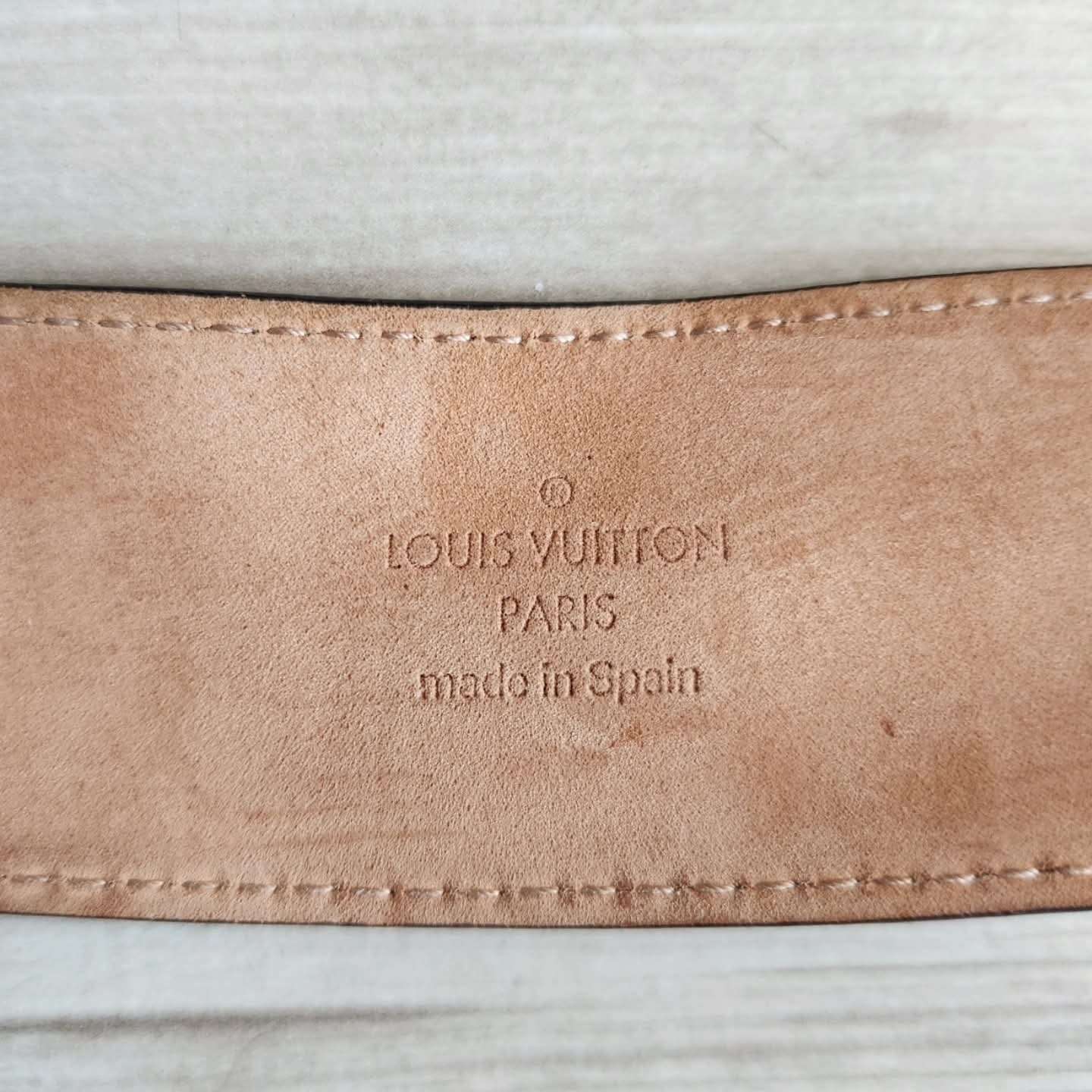 Louis Vuitton Pasek Iconic