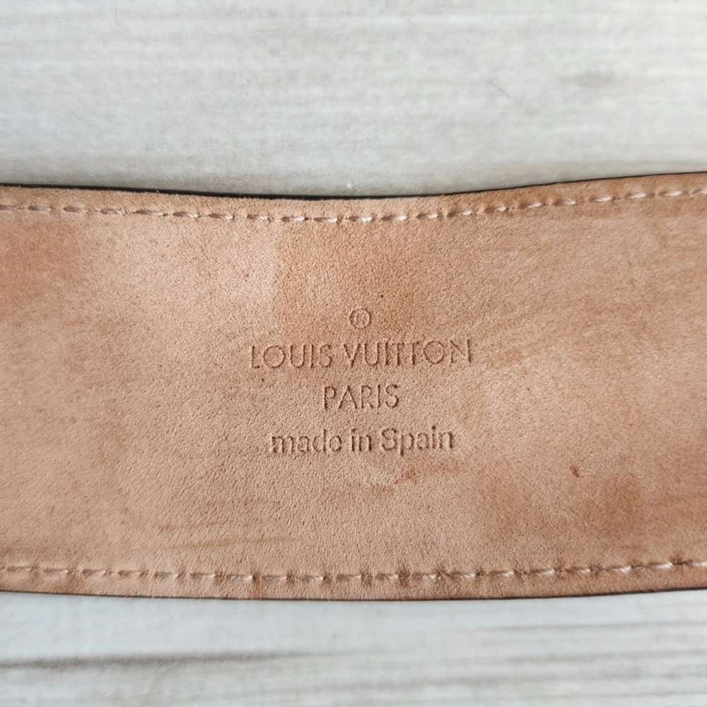 Louis Vuitton Pasek Iconic