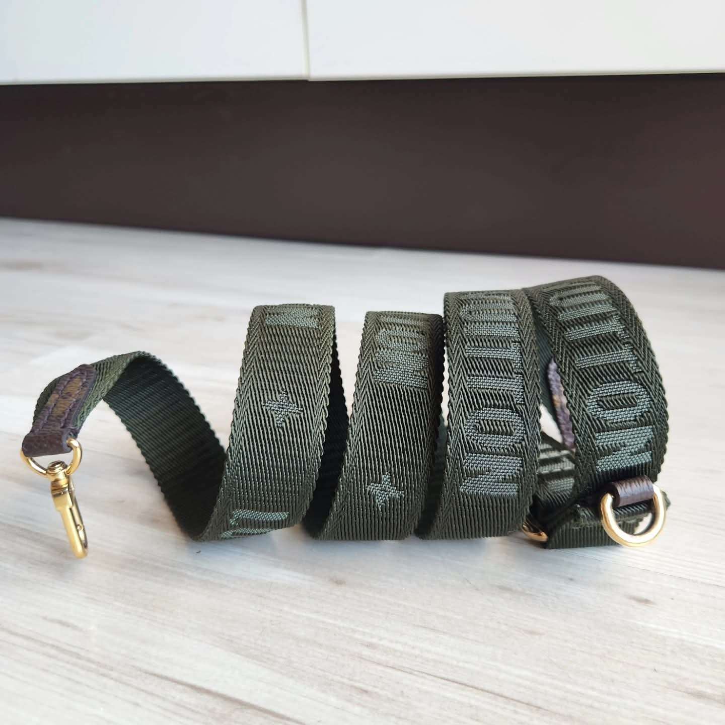 Louis Vuitton Felicie Strap and Go