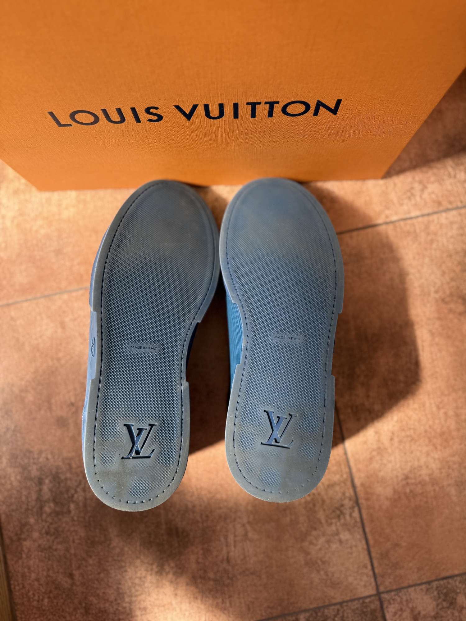 Louis Vuitton CONCORDE Sneakers