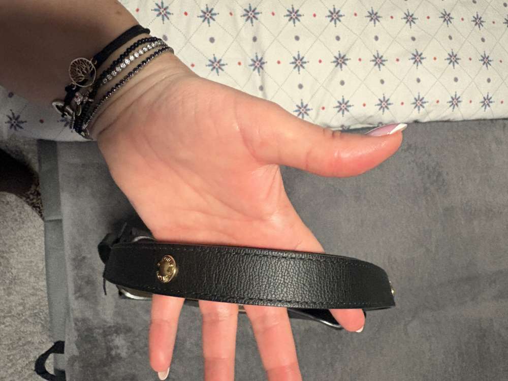 Louis Vuitton HOBO