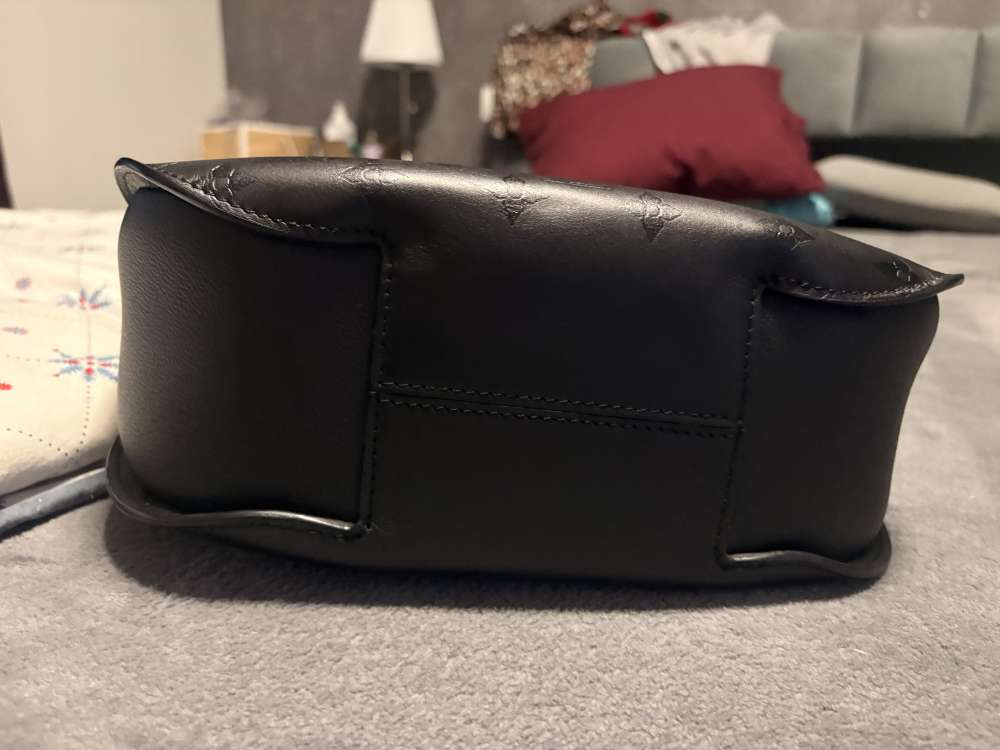 Louis Vuitton HOBO