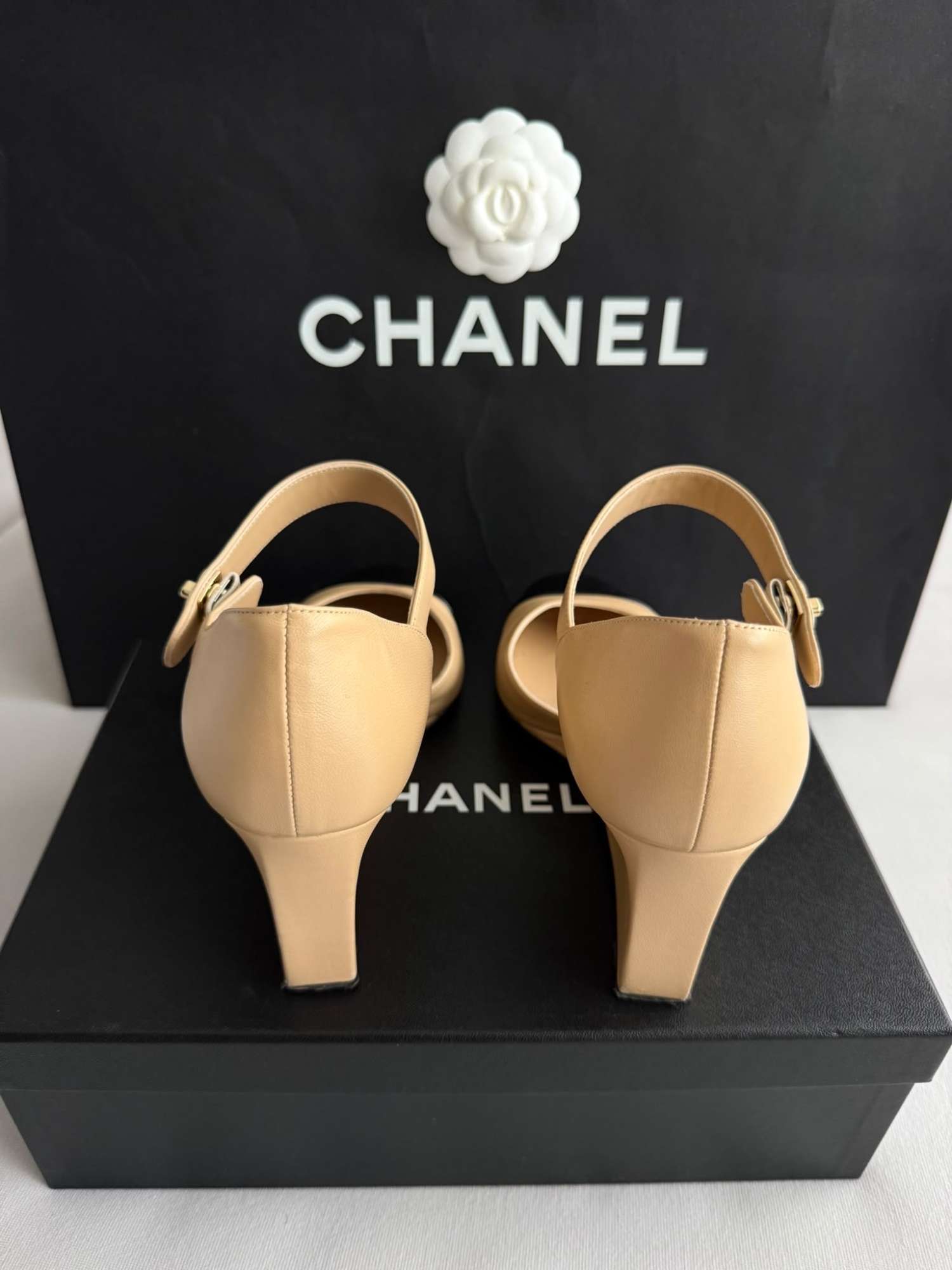 Chanel lodicky