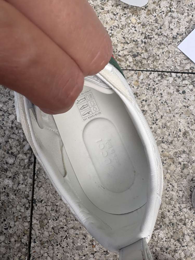 Gucci web stripe tenisky