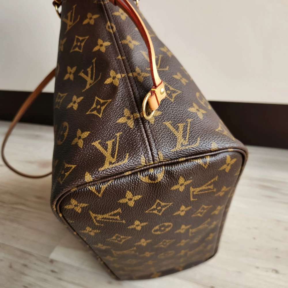 Louis Vuitton Neverfull