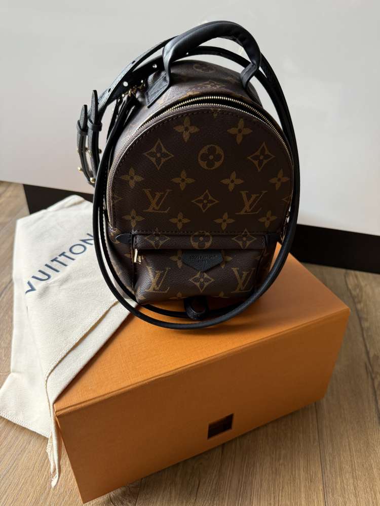Louis vuitton palm spring mini