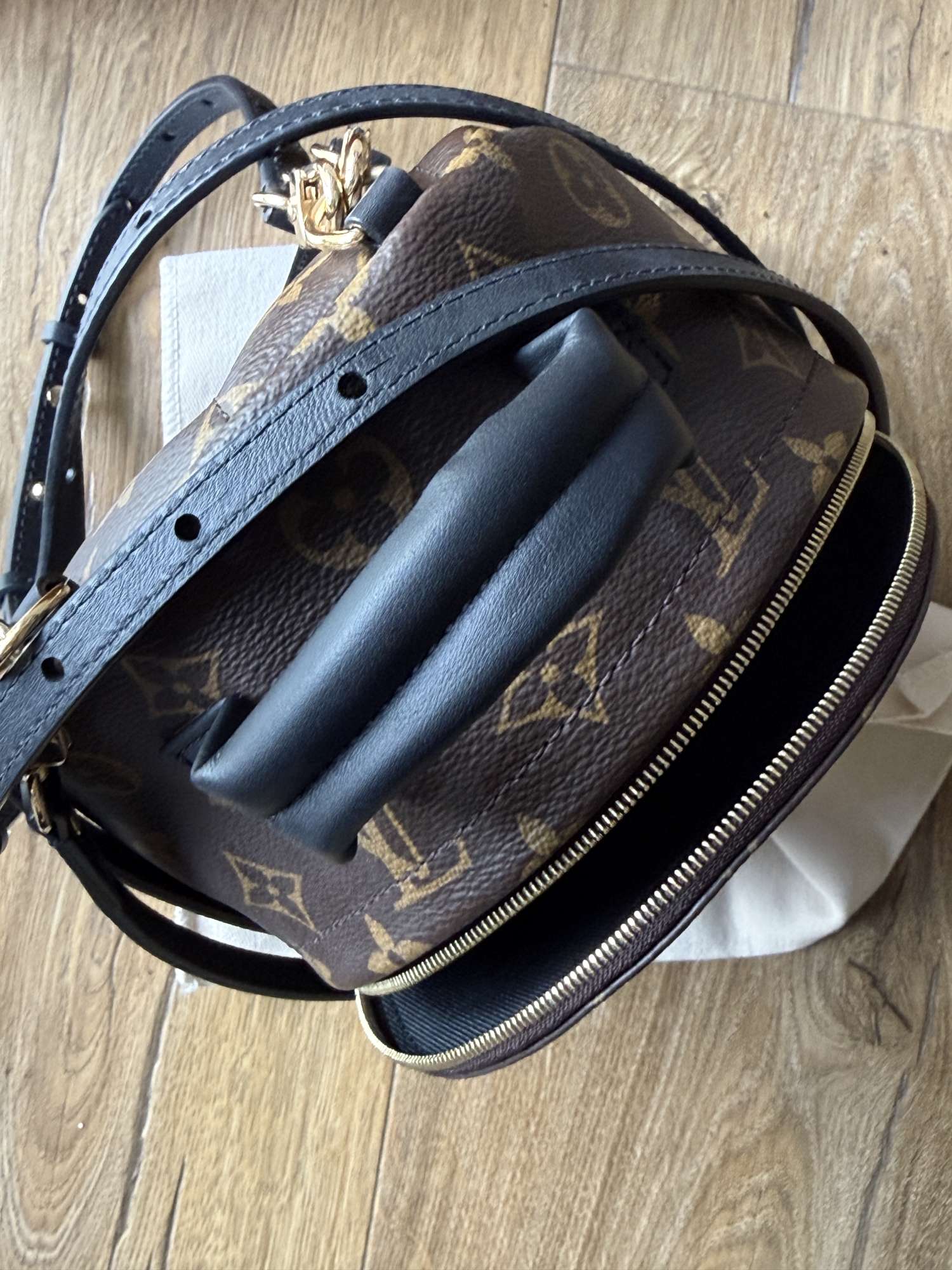 Louis vuitton palm spring mini