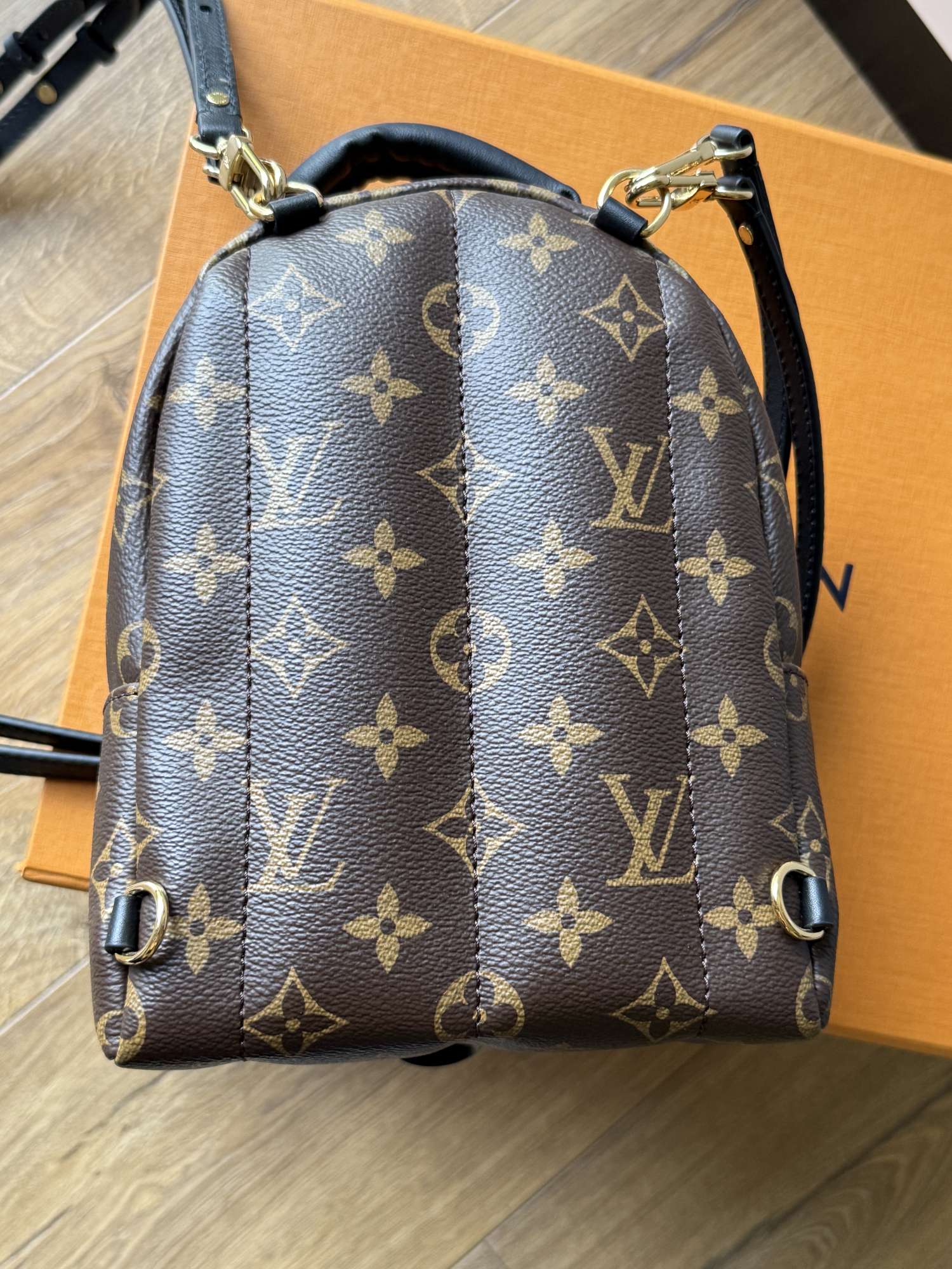 Louis vuitton palm spring mini