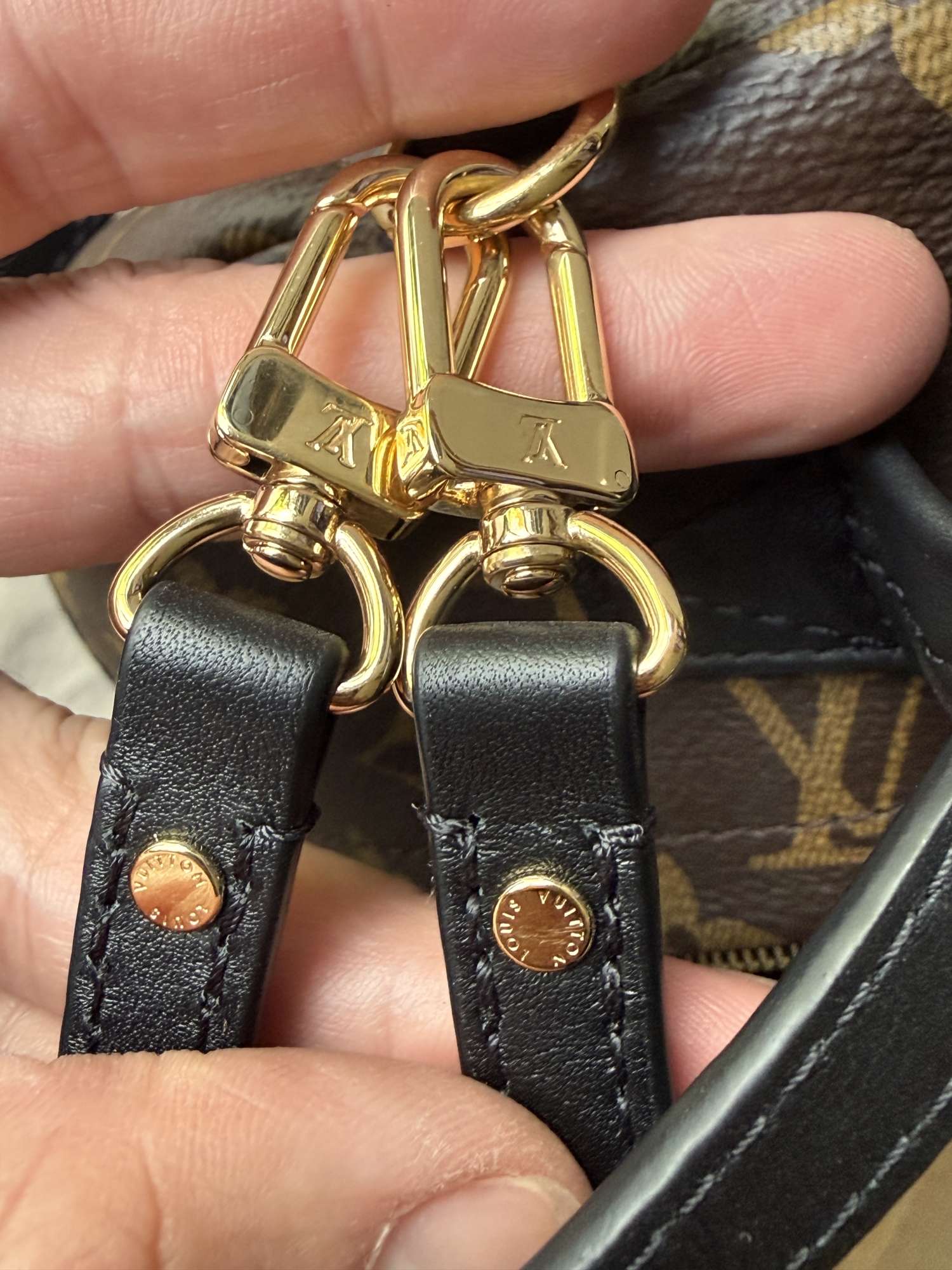 Louis vuitton palm spring mini