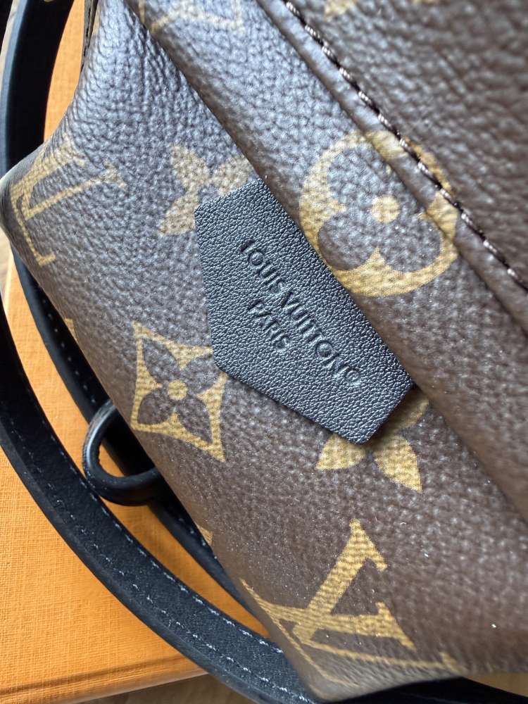 Louis vuitton palm spring mini