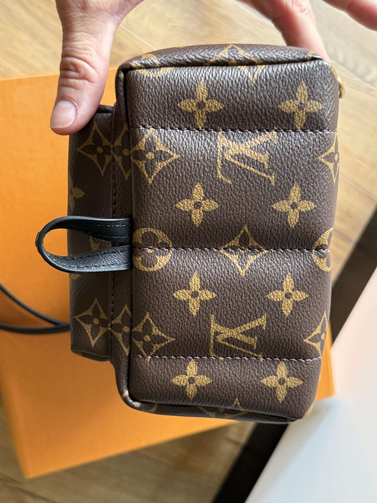Louis vuitton palm spring mini
