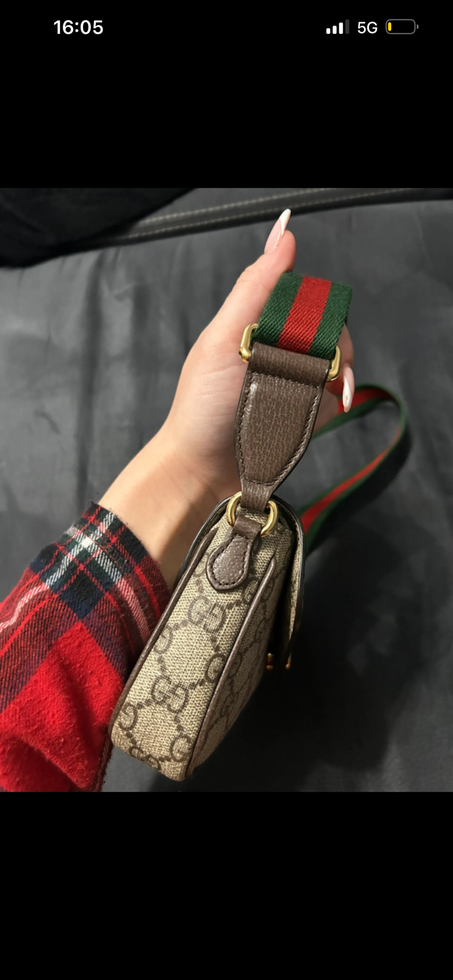 Ophidia pochette