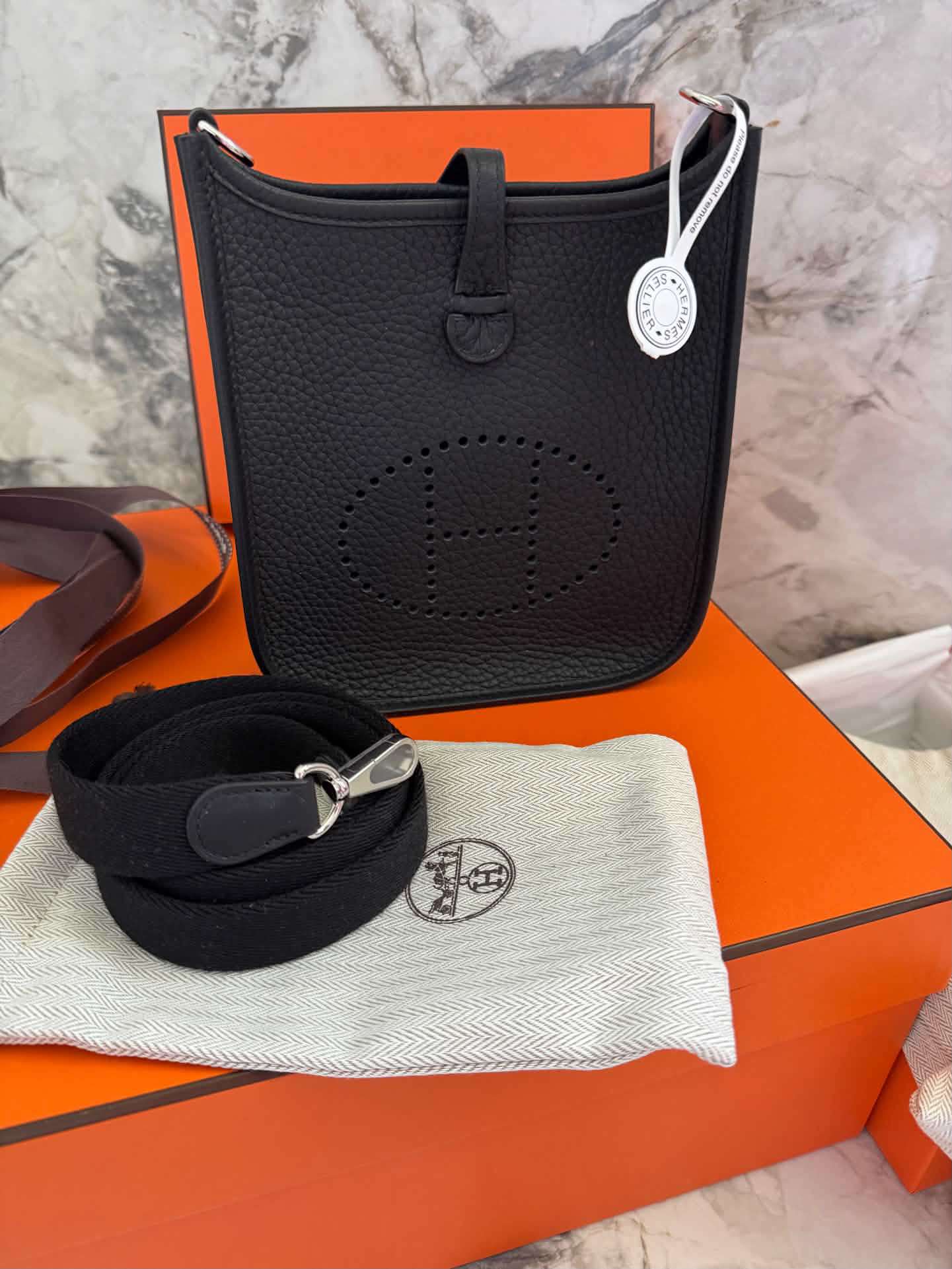 Hermes mini evelyne