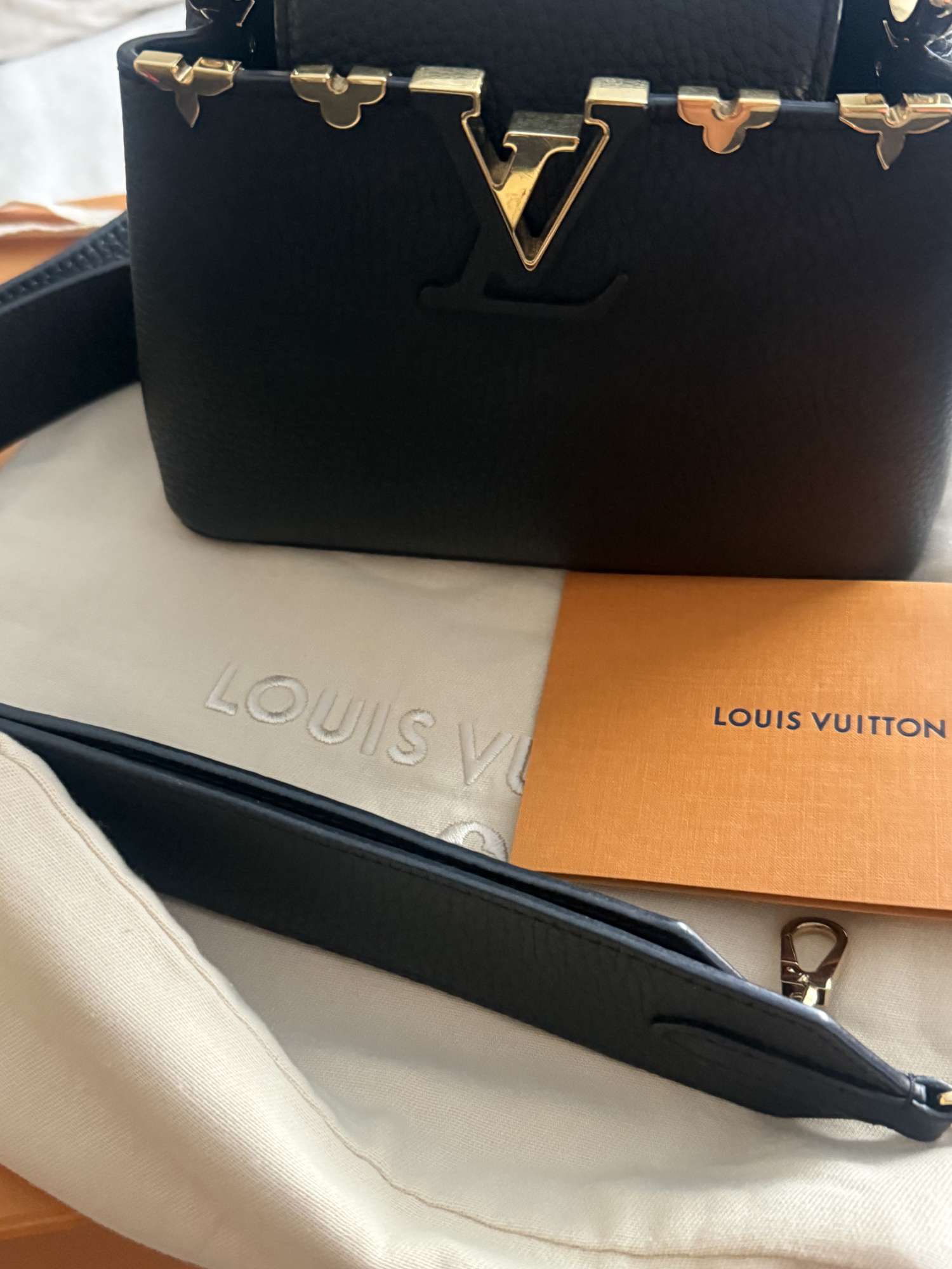 Louis Vuitton capucines