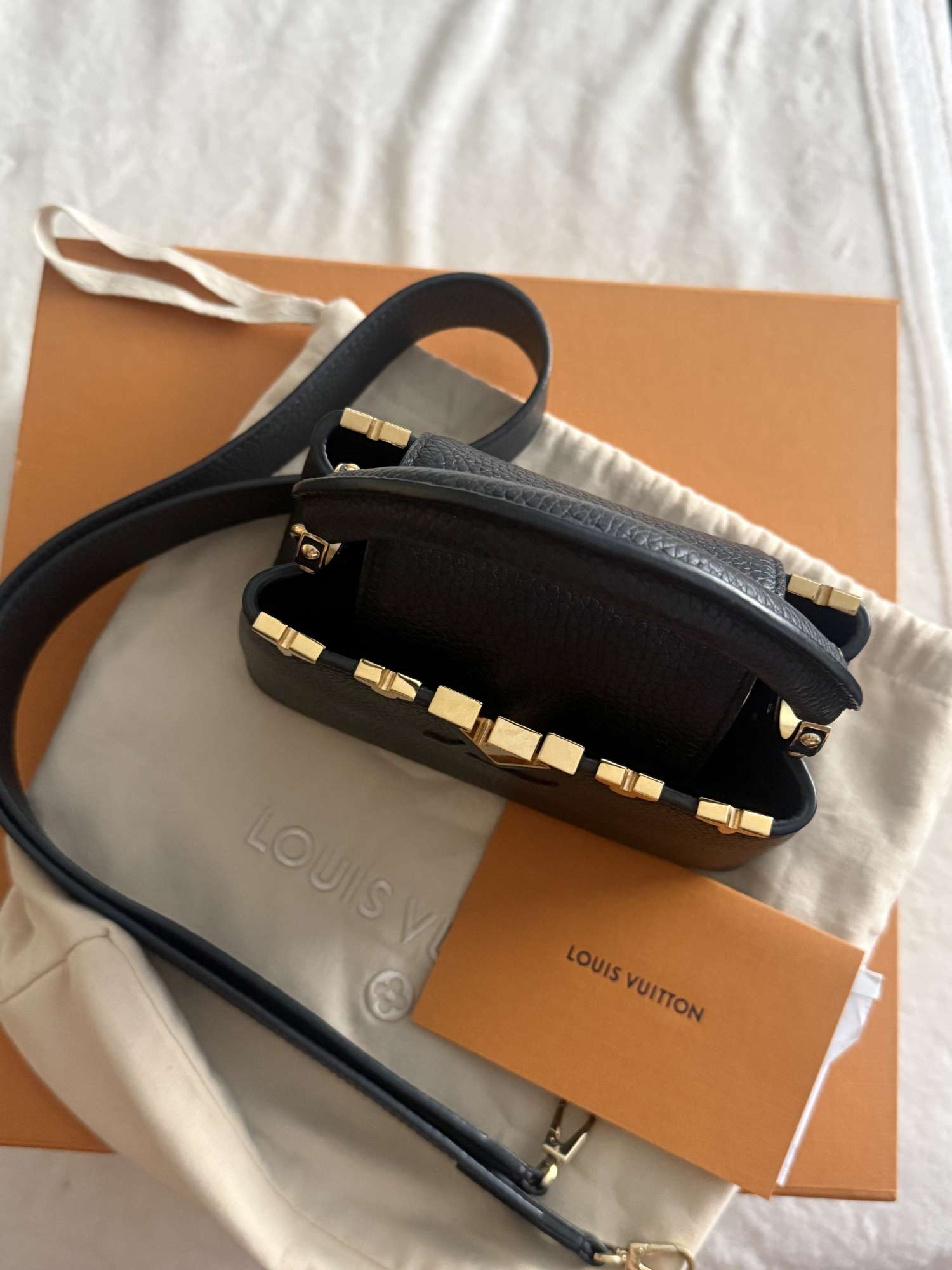 Louis Vuitton capucines