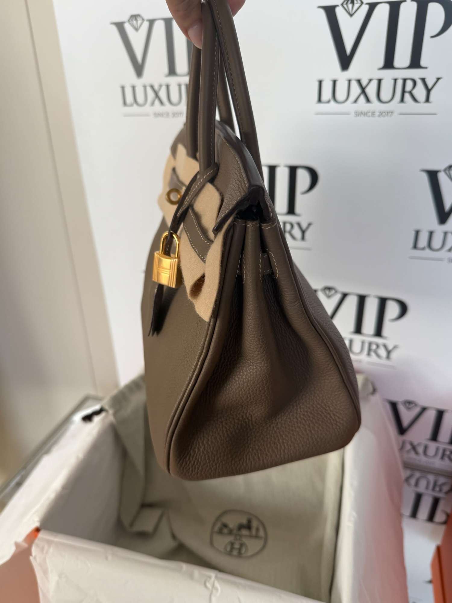 HERMÈS BIRKIN 25 ETOUPE