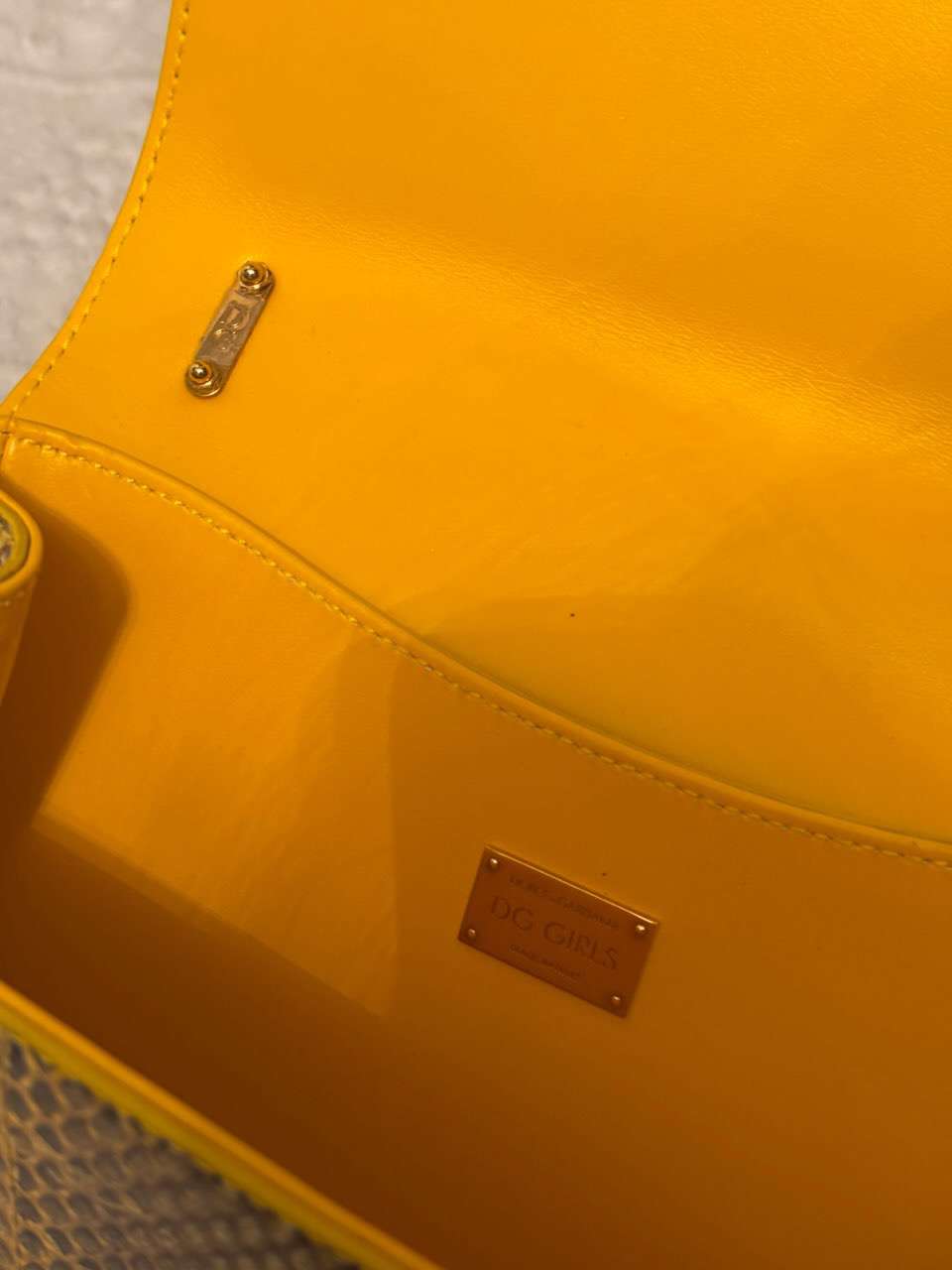 Dolce &Gabbana python bag