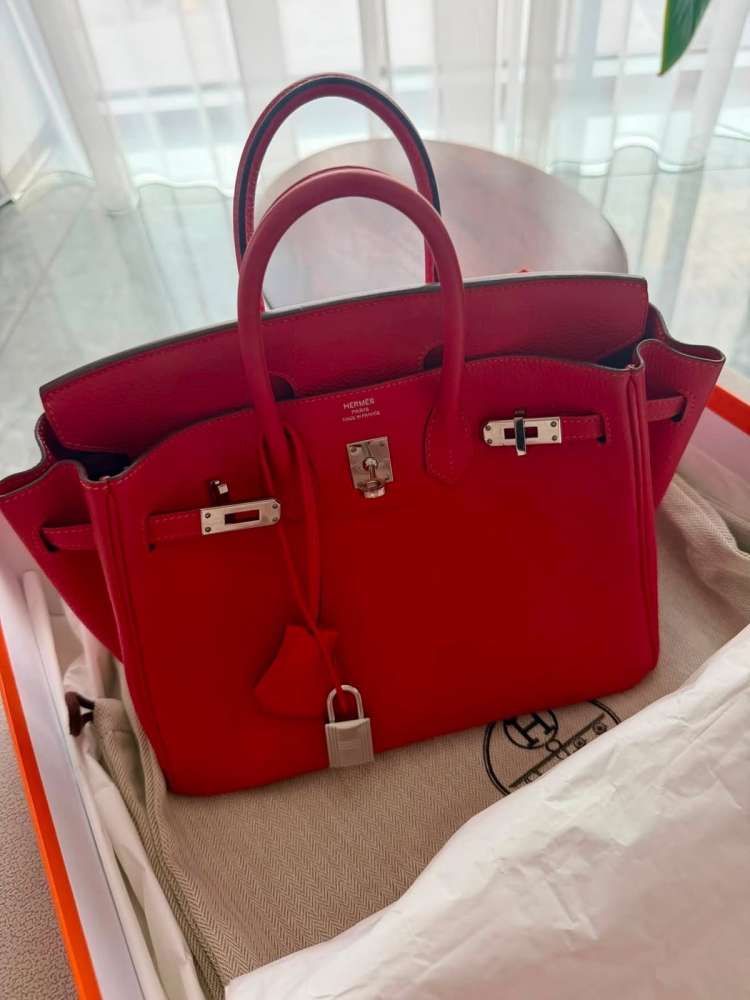 Hermes Birkin 25