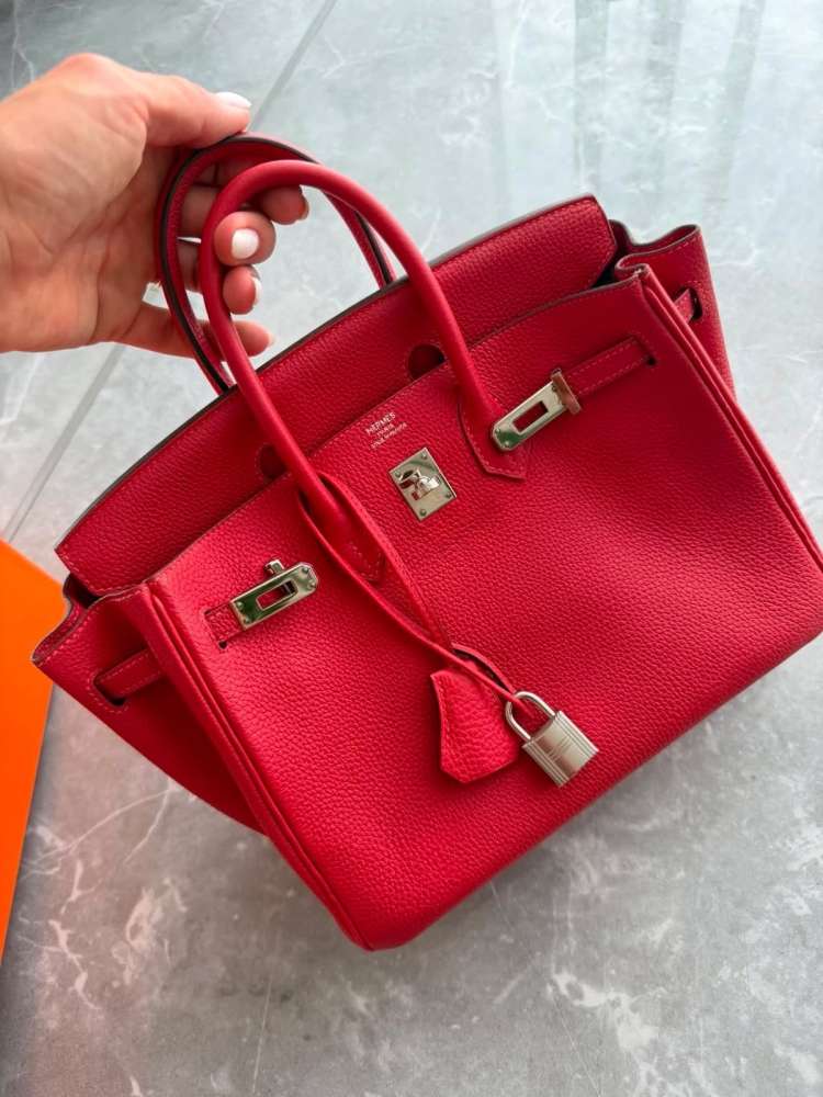 Hermes Birkin 25