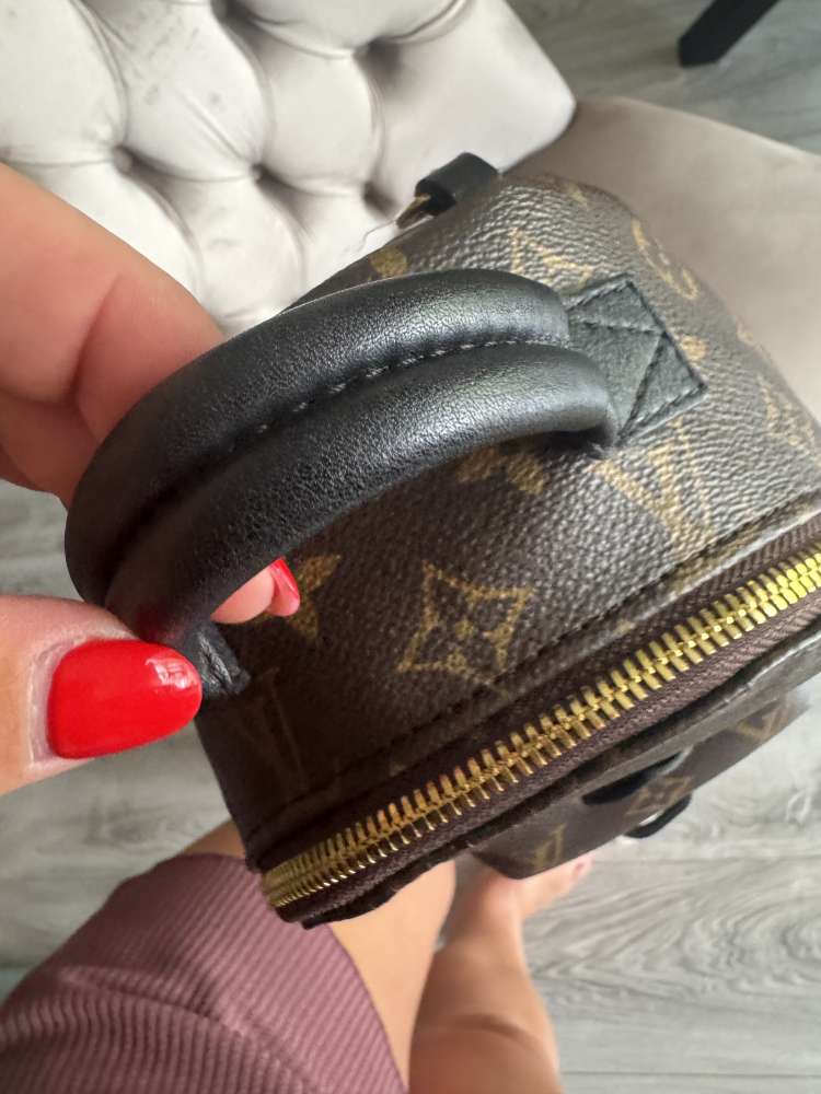 Louis Vuitton Palmsprings mini