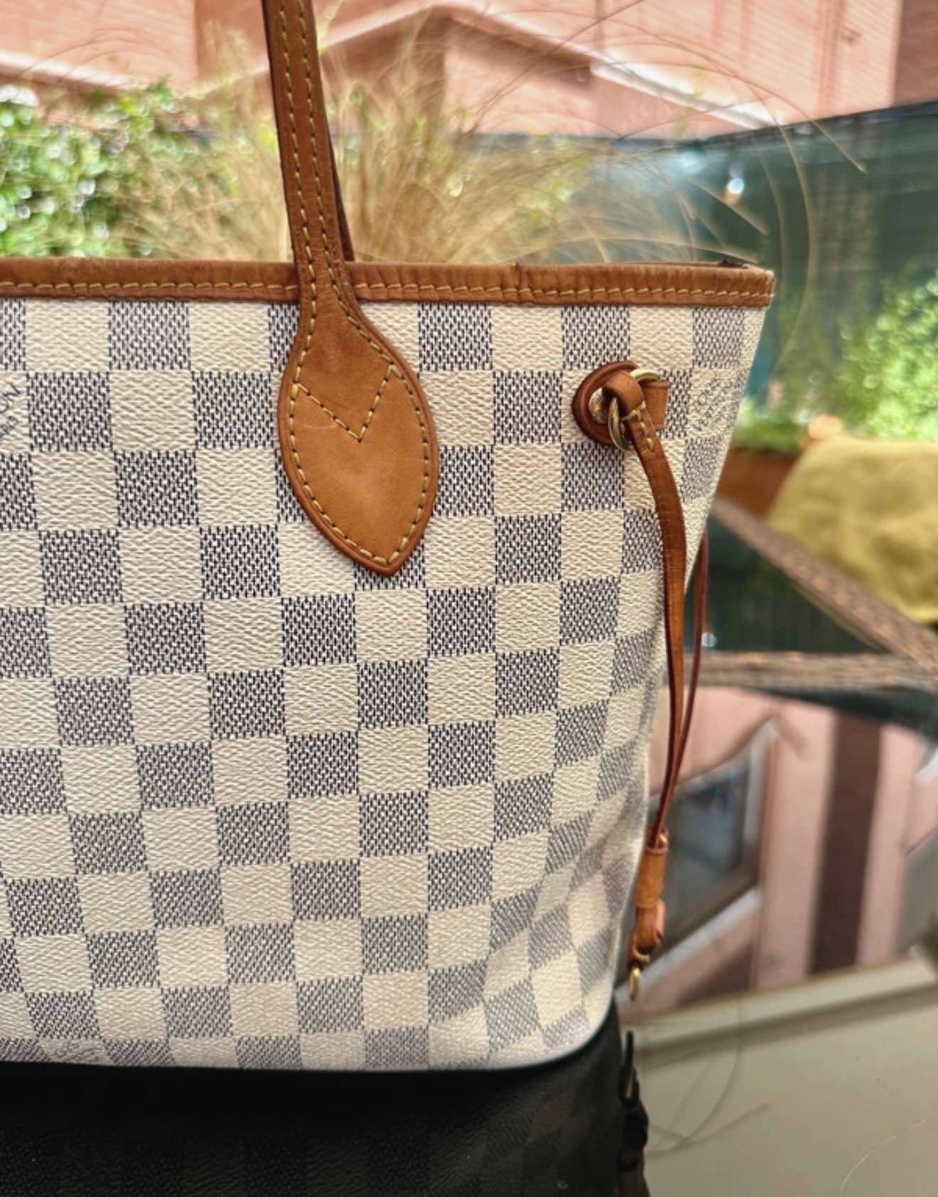 Louis Vuitton Neverfull PM