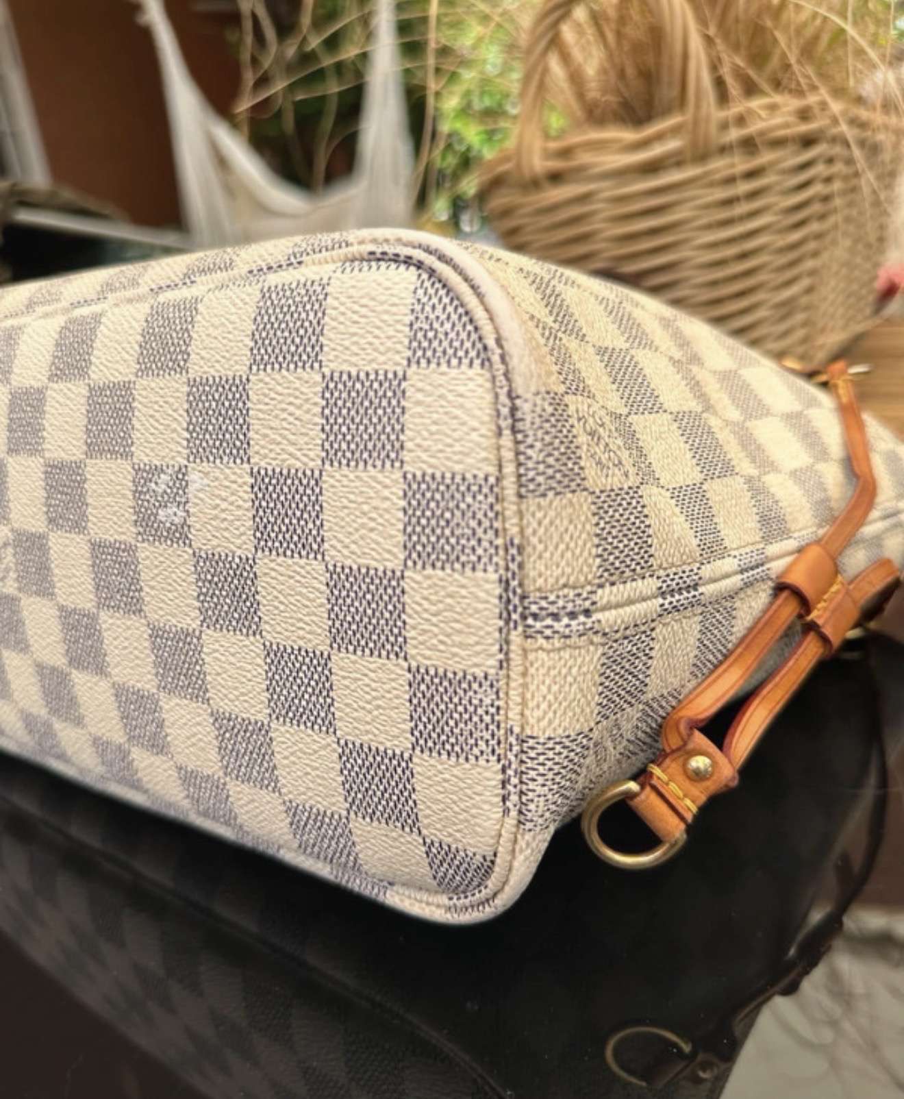 Louis Vuitton Neverfull PM