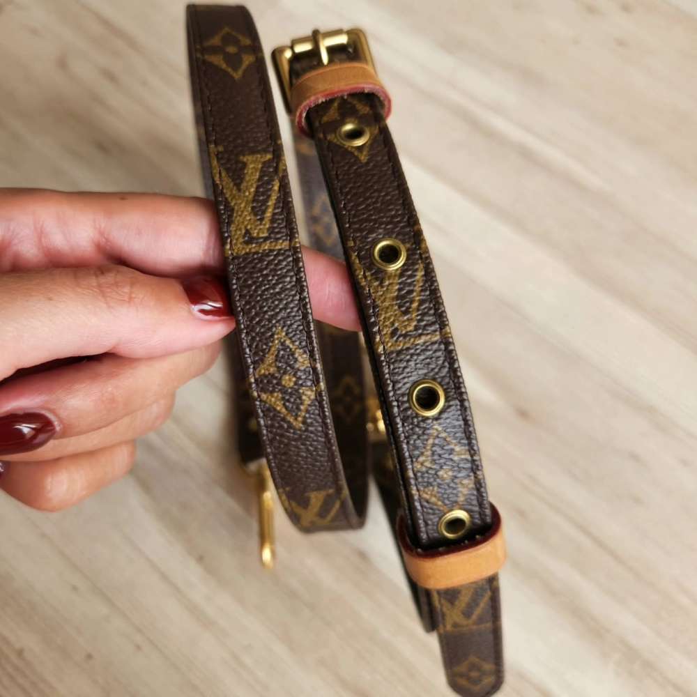 Louis Vuitton Popruh