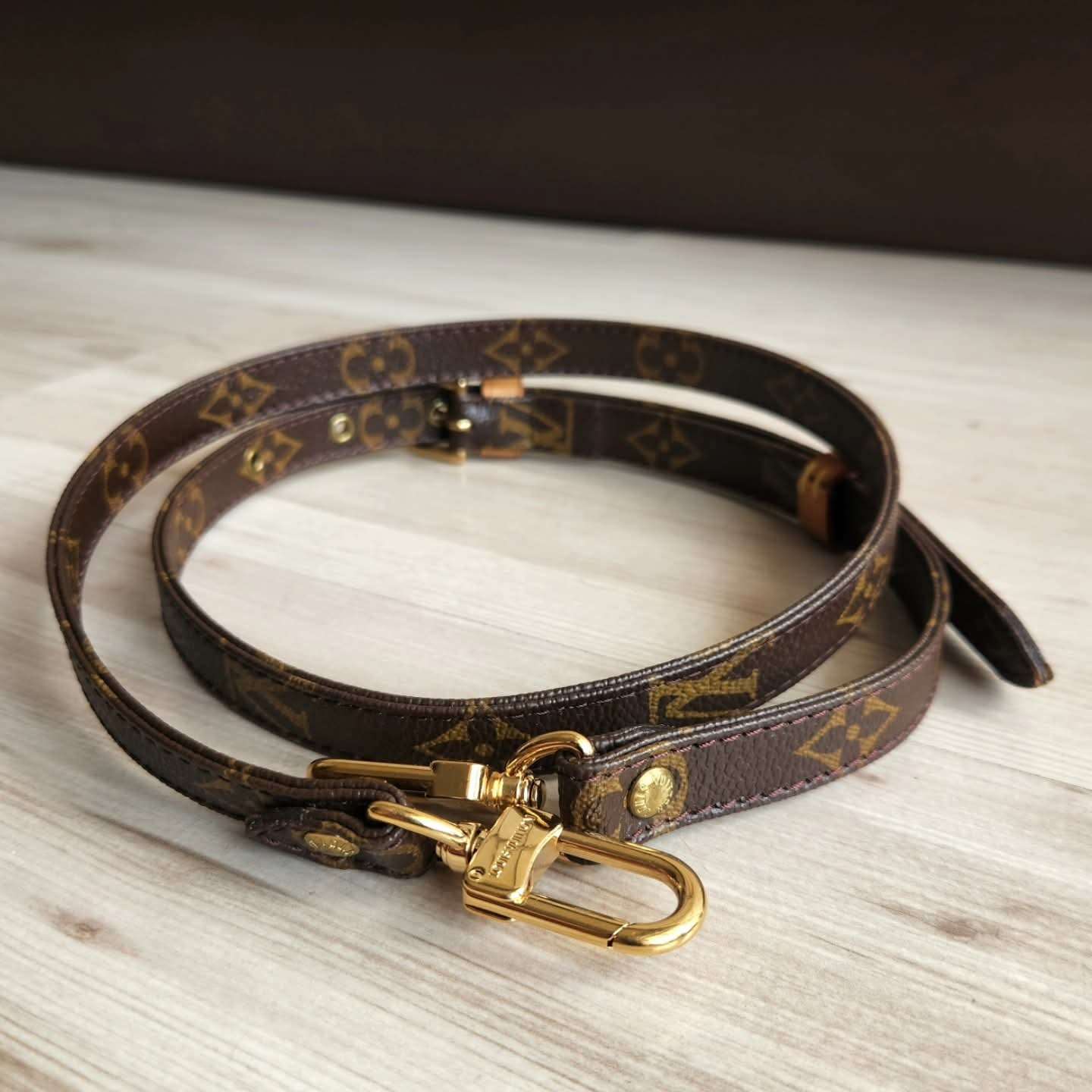 Louis Vuitton Popruh
