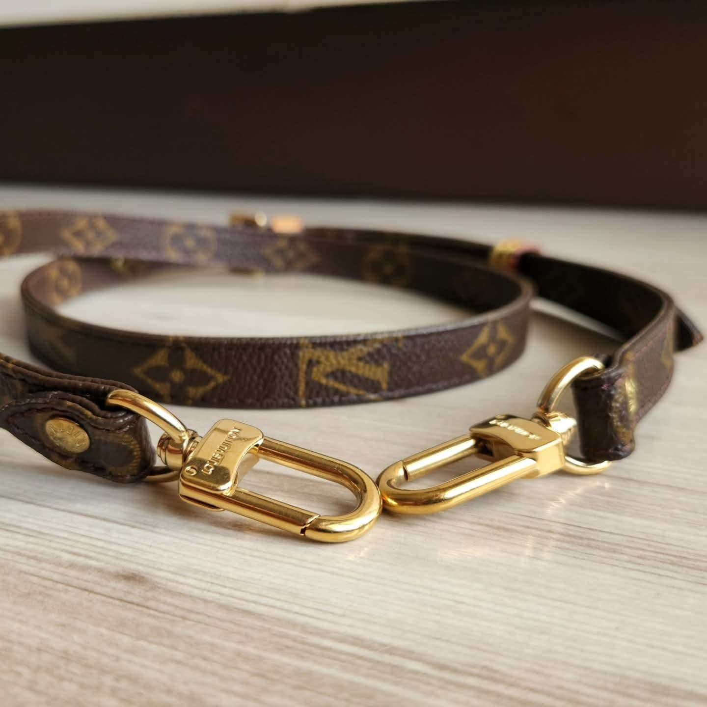 Louis Vuitton Popruh