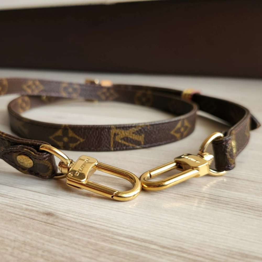 Louis Vuitton Popruh