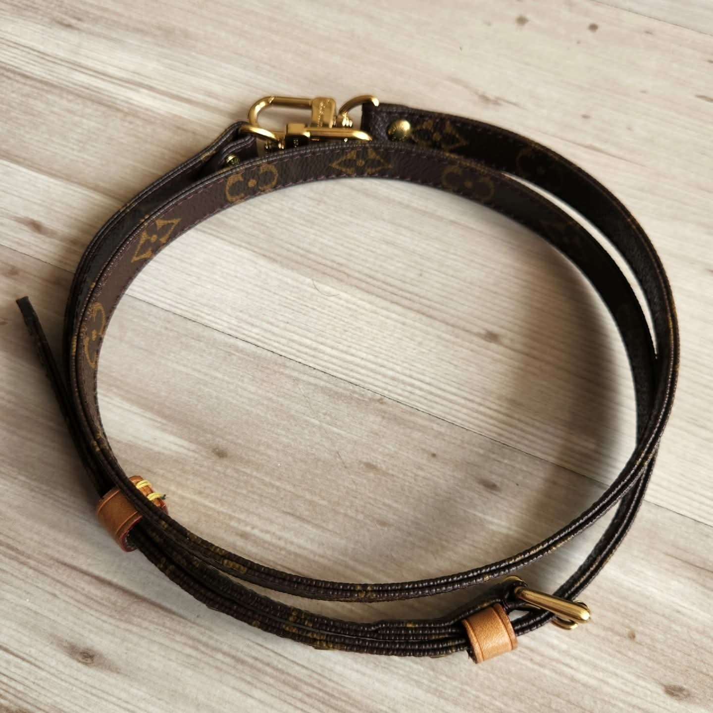 Louis Vuitton Popruh