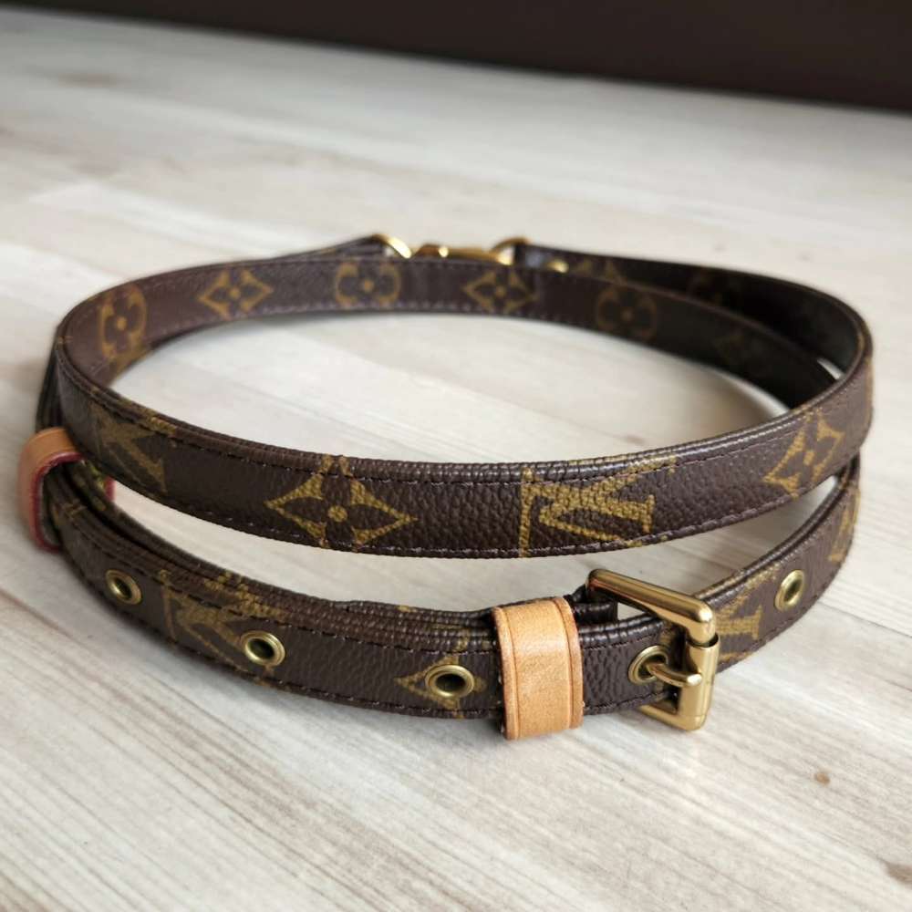 Louis Vuitton Popruh