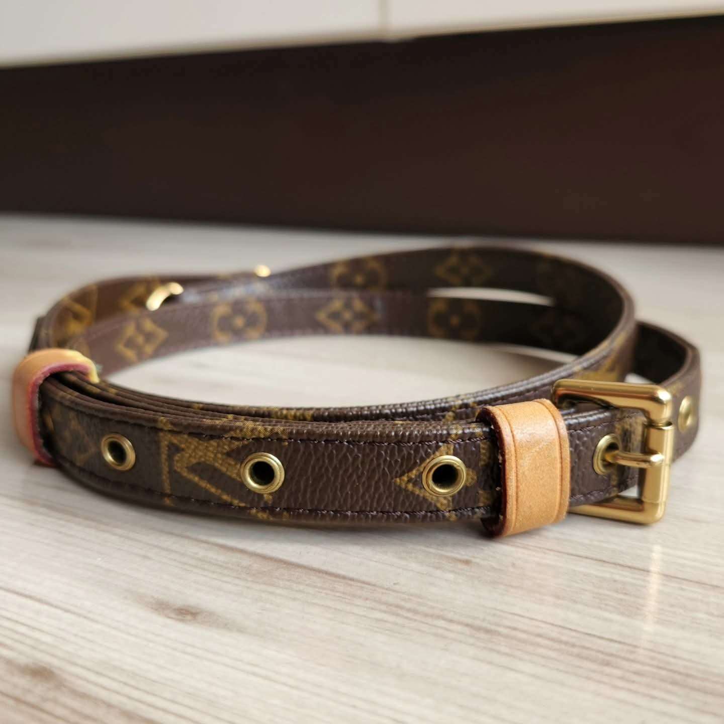 Louis Vuitton Popruh