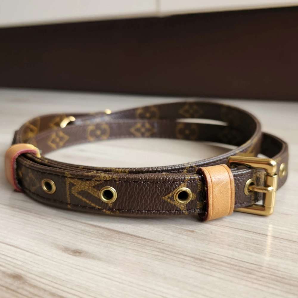 Louis Vuitton Popruh