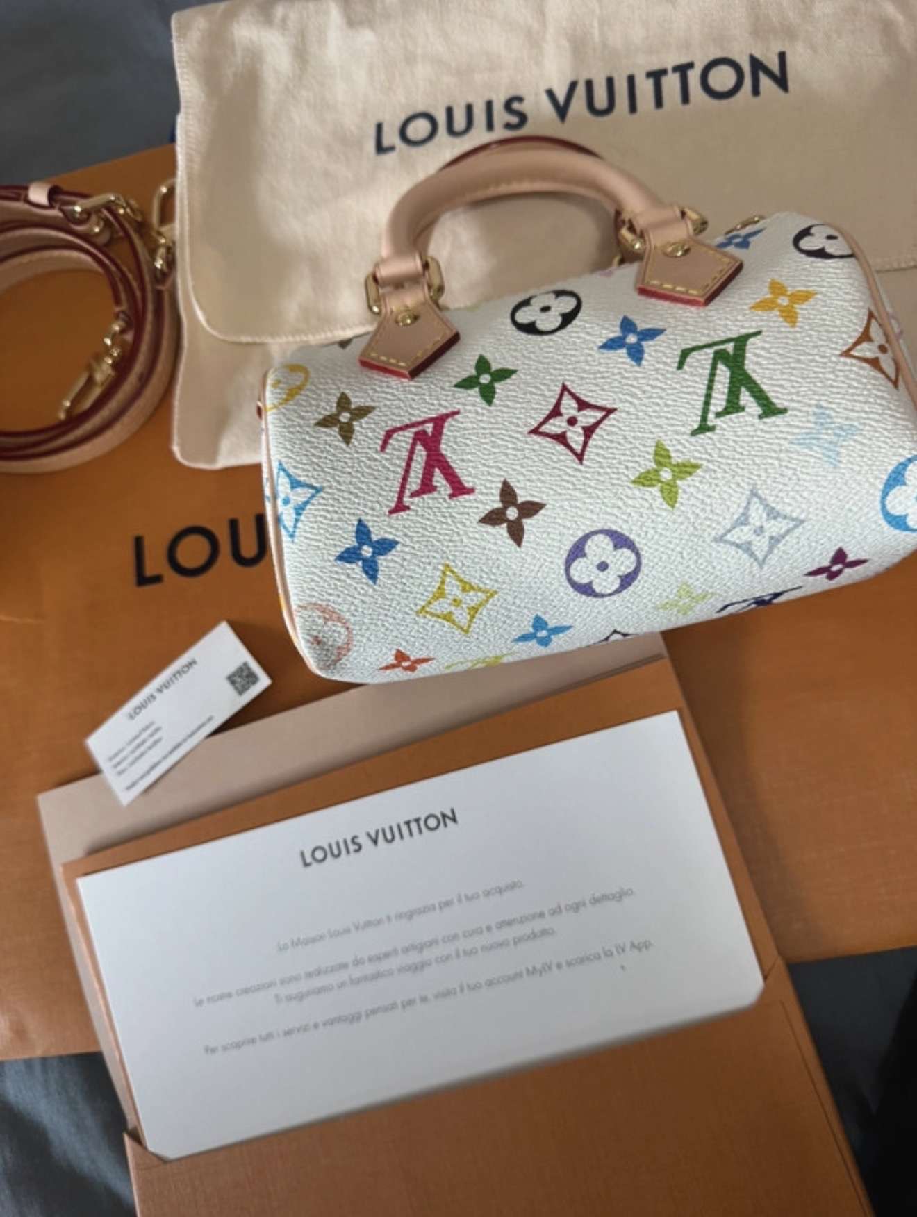 Louis Vuitton nano speedy